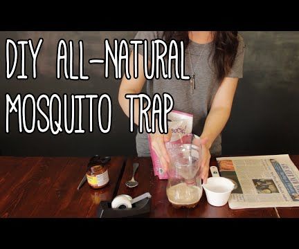The Easiest Mosquito Trap...(Under 1 buck)