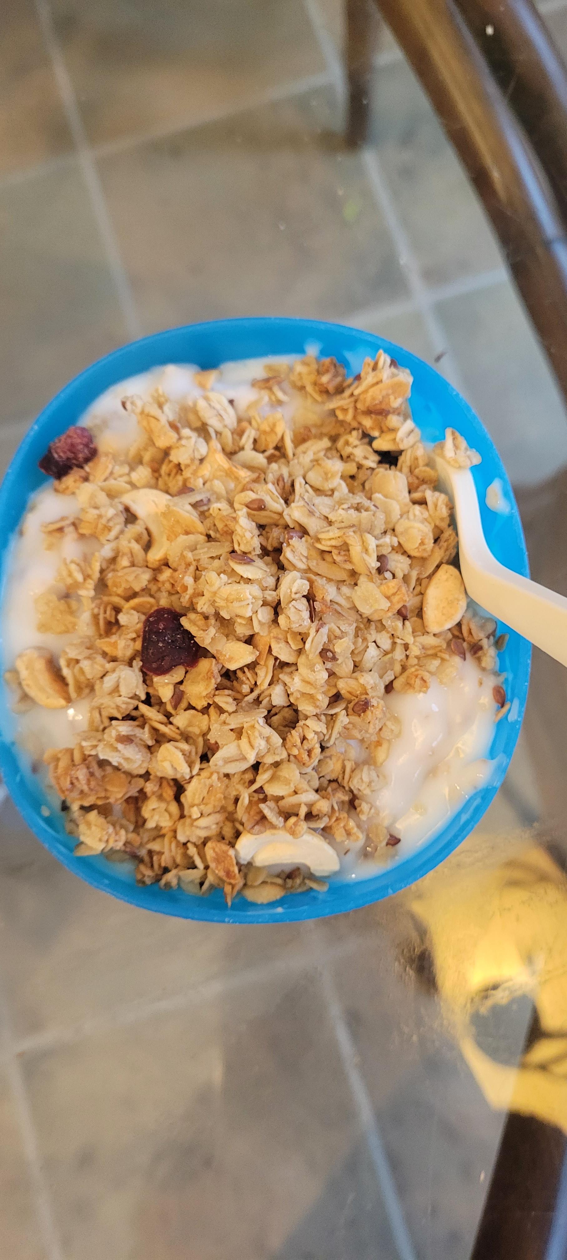 GF Cranberry & Cashew Granola Yogurt