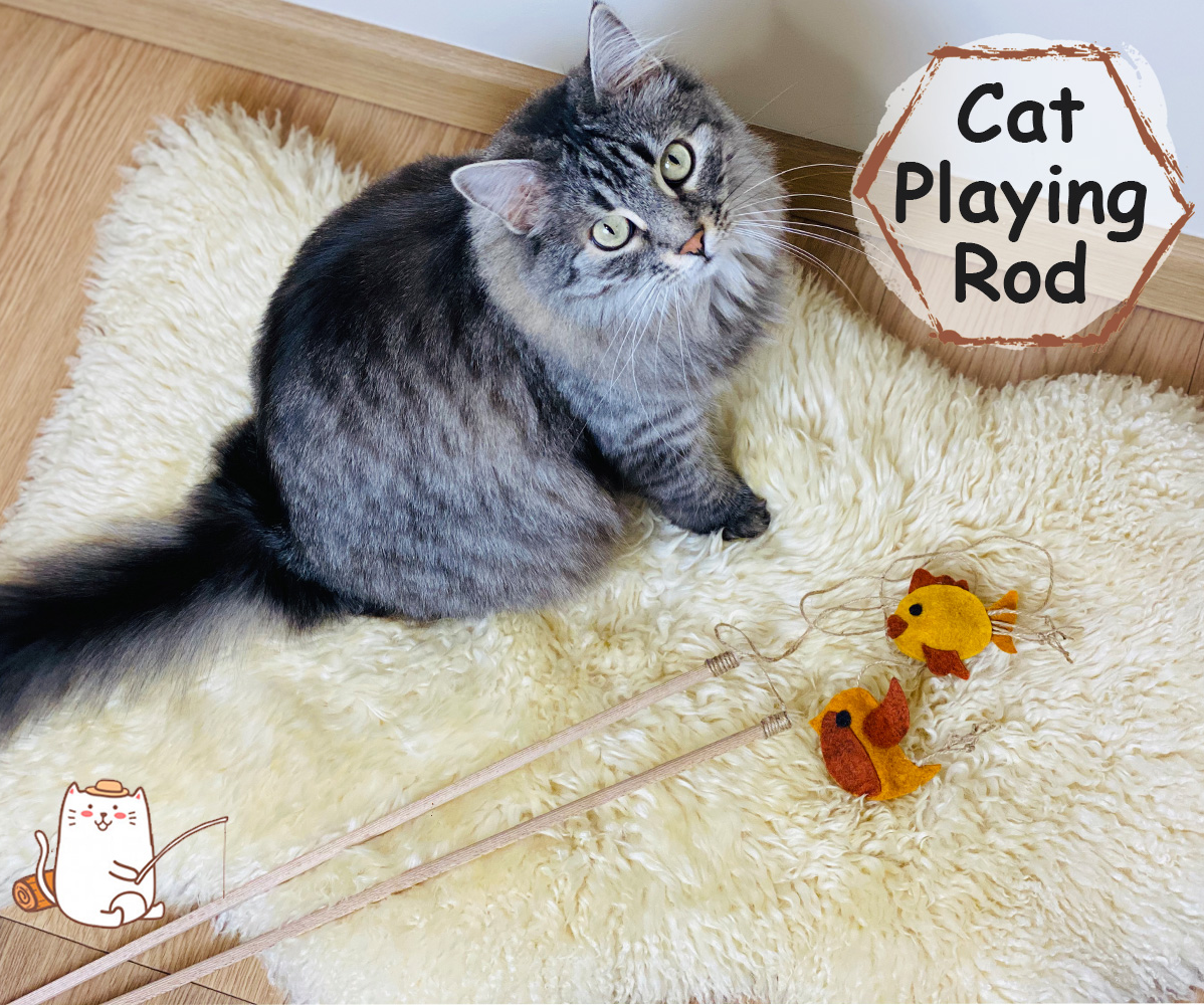 Fishing Rod Toy for Cat