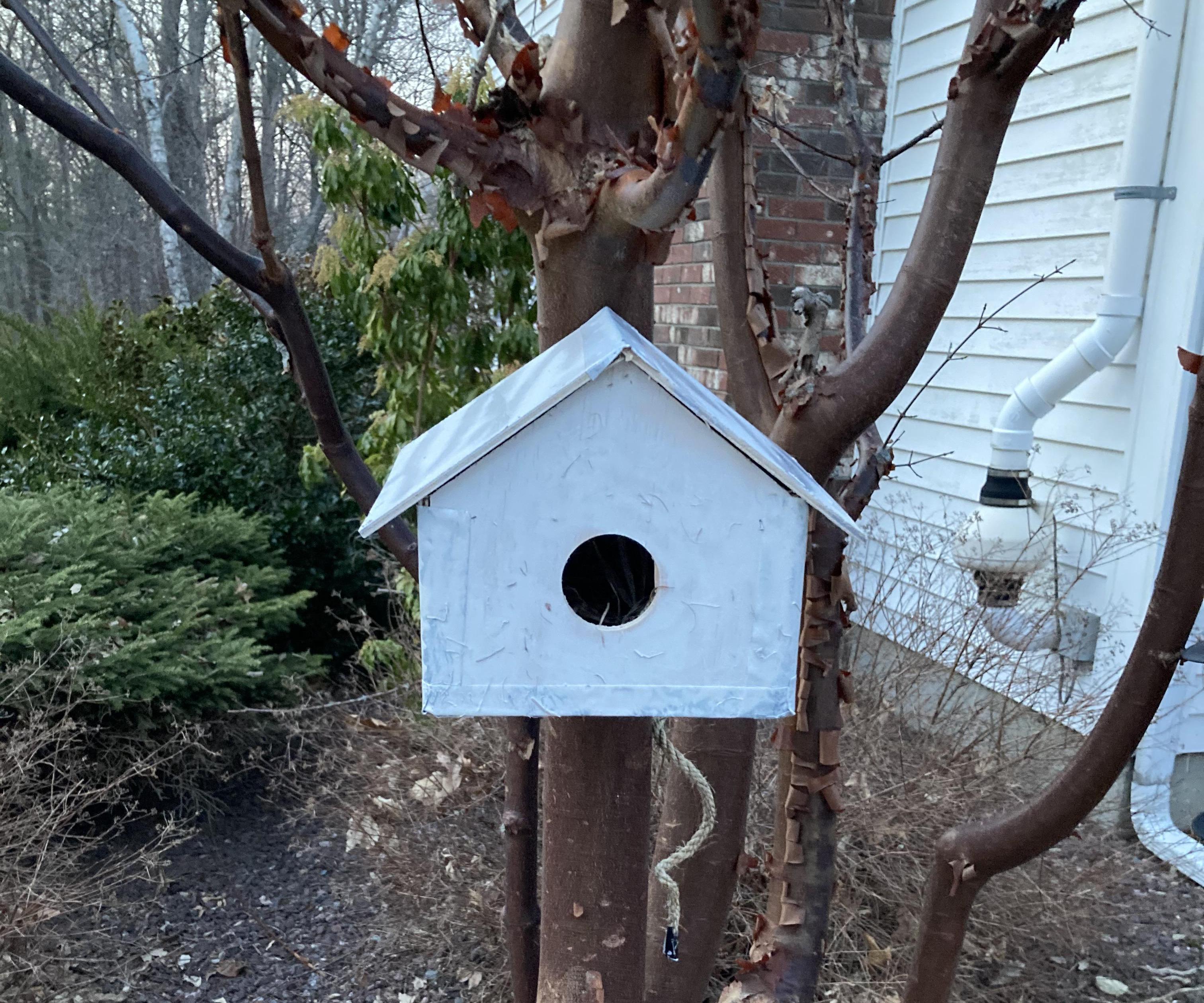  a Homie and Safe Birdhouse and Birdbath!