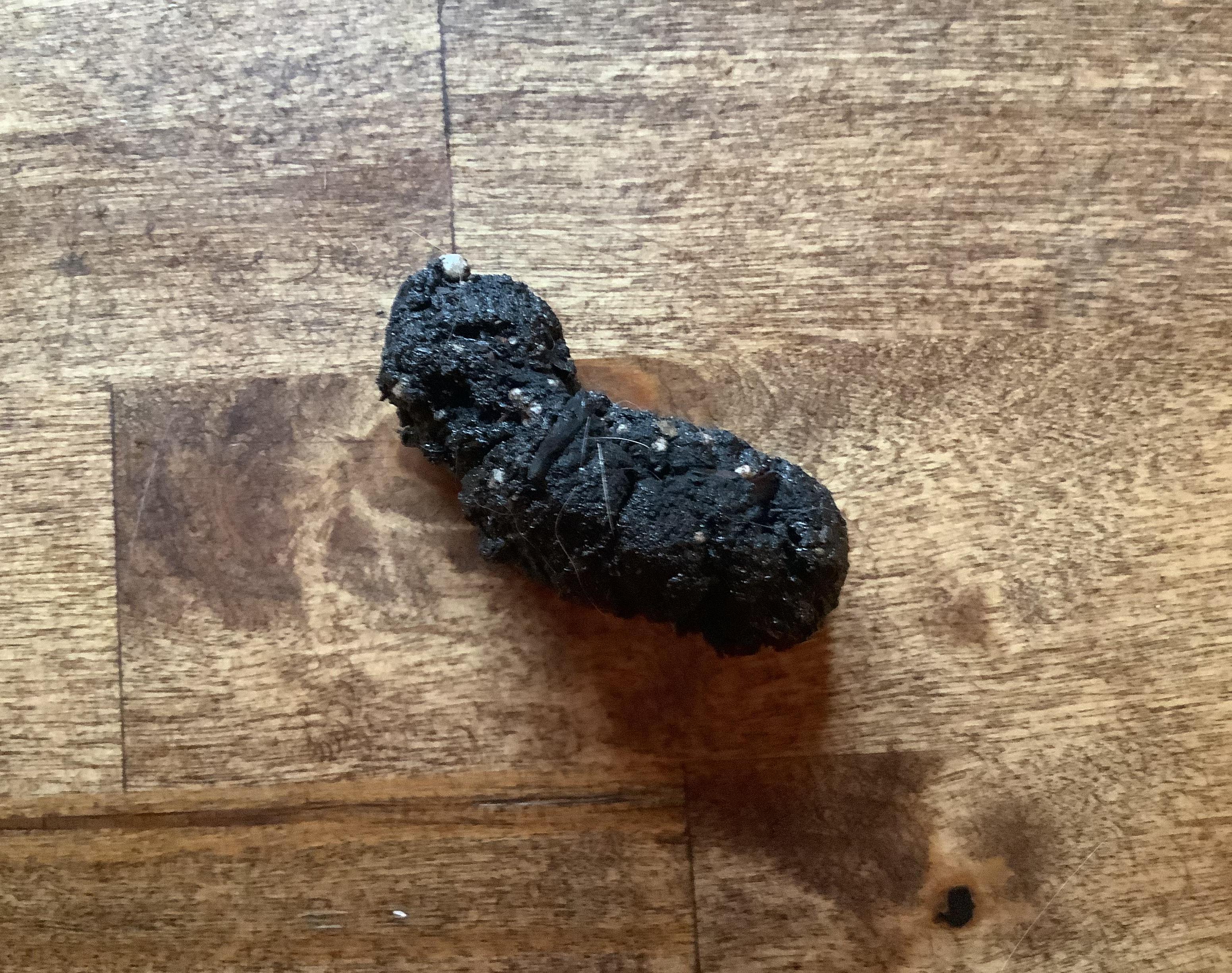 How to Make Realistic Fake Poop