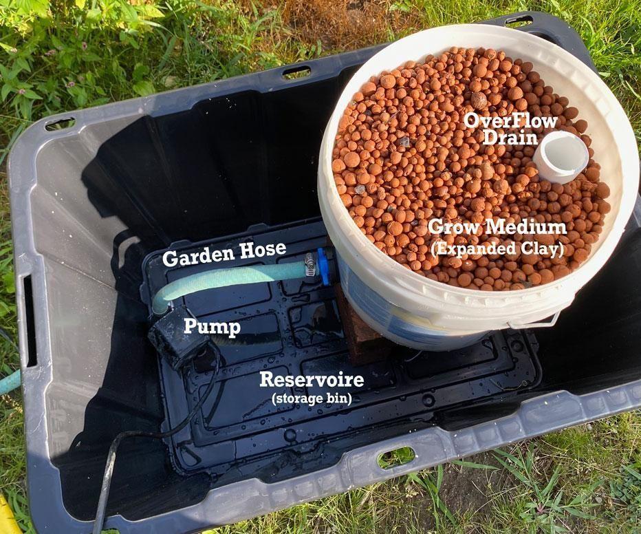 Basic Ebb and Flow  a Simple Hydroponic System 
