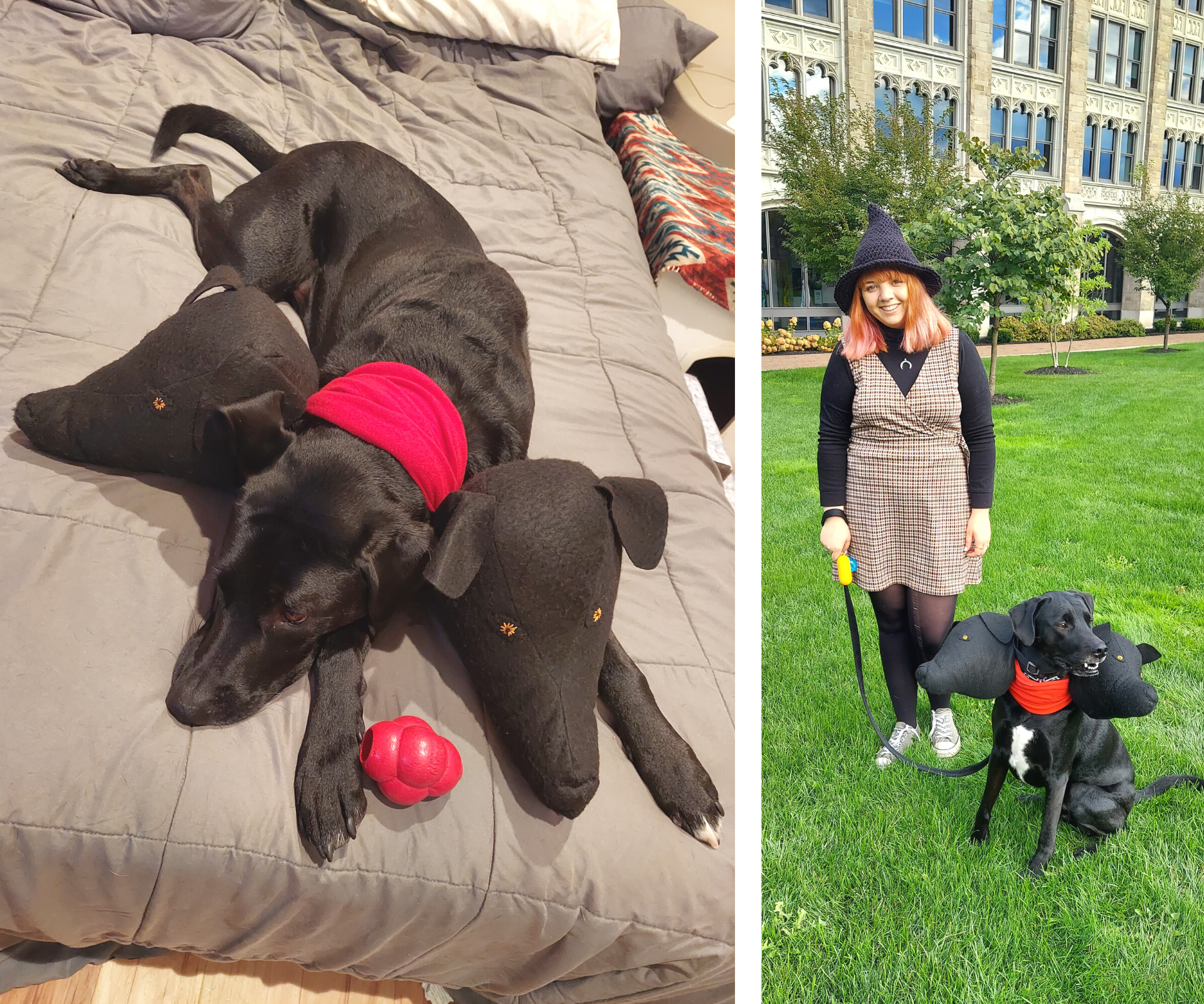 Cerberus Dog Costume