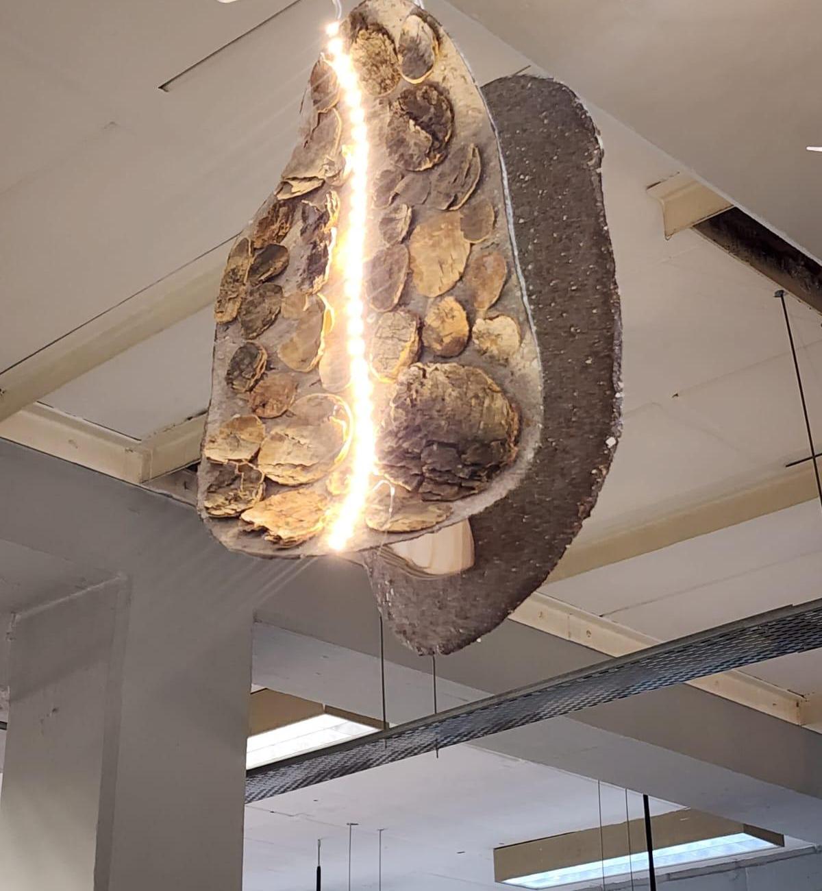 Biodegradable Hanging Luminaire.