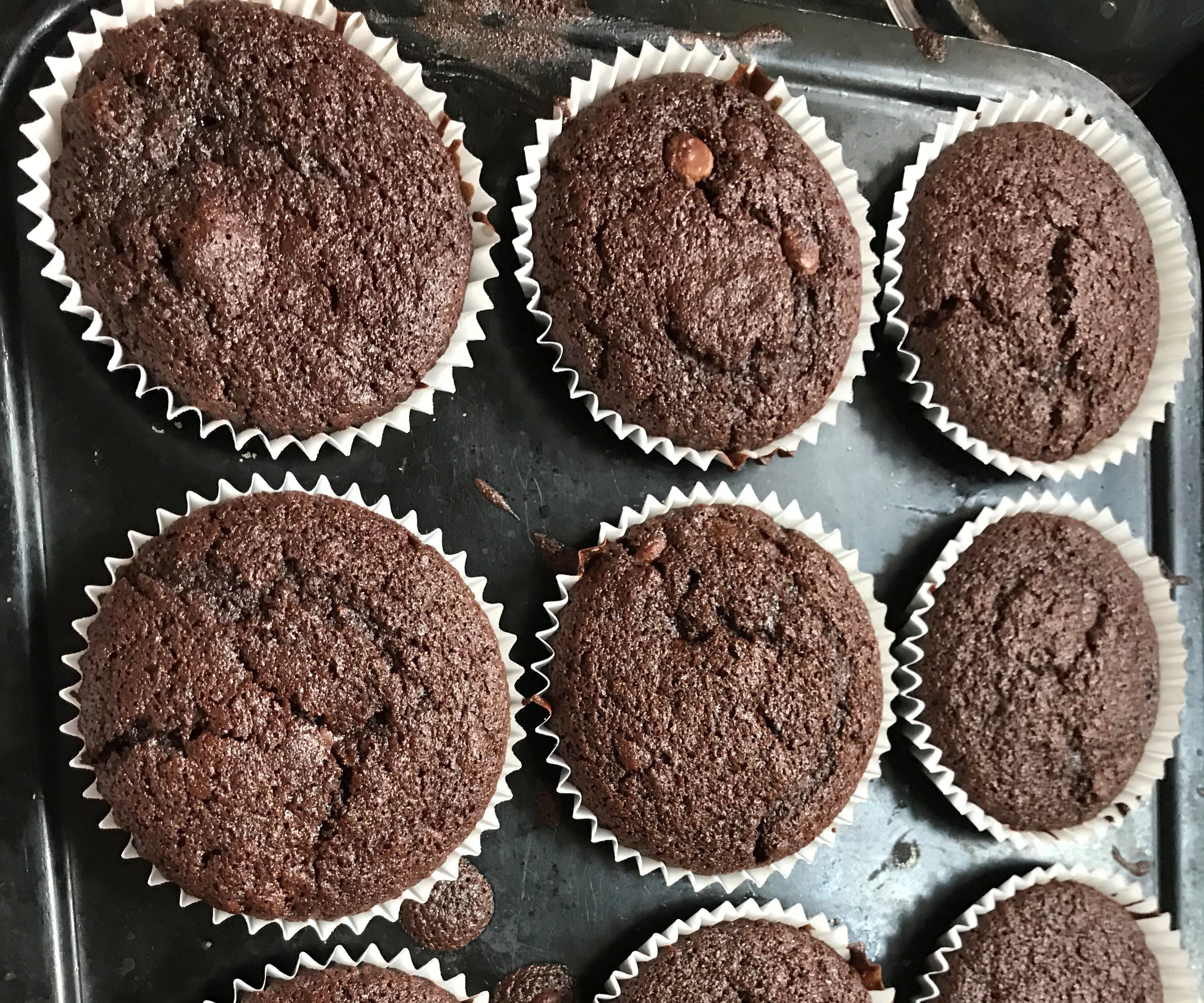 Chocolate Muffins