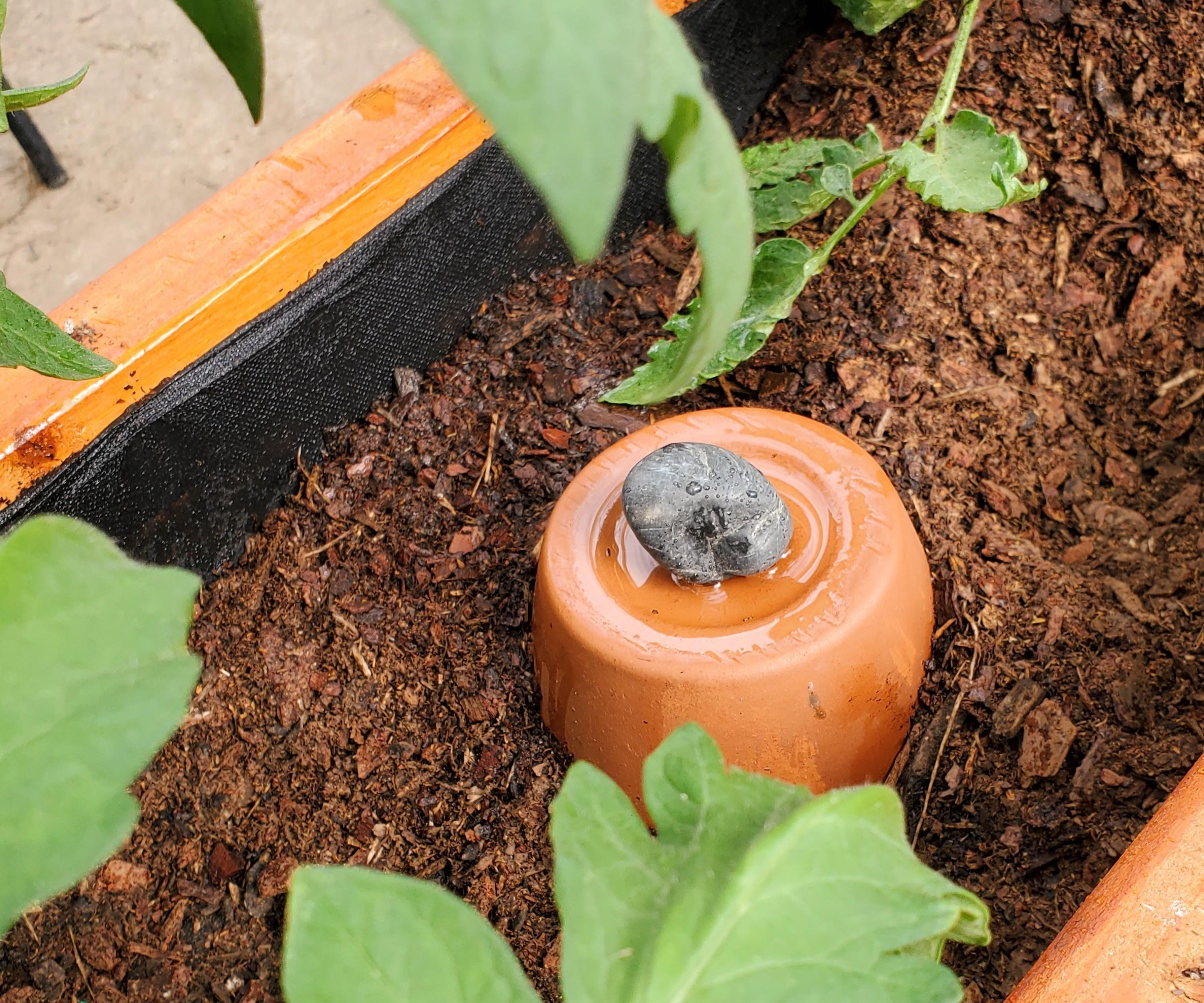 BEAT THE HEAT - on a Budget: DIY Self-Watering Olla Irrigation