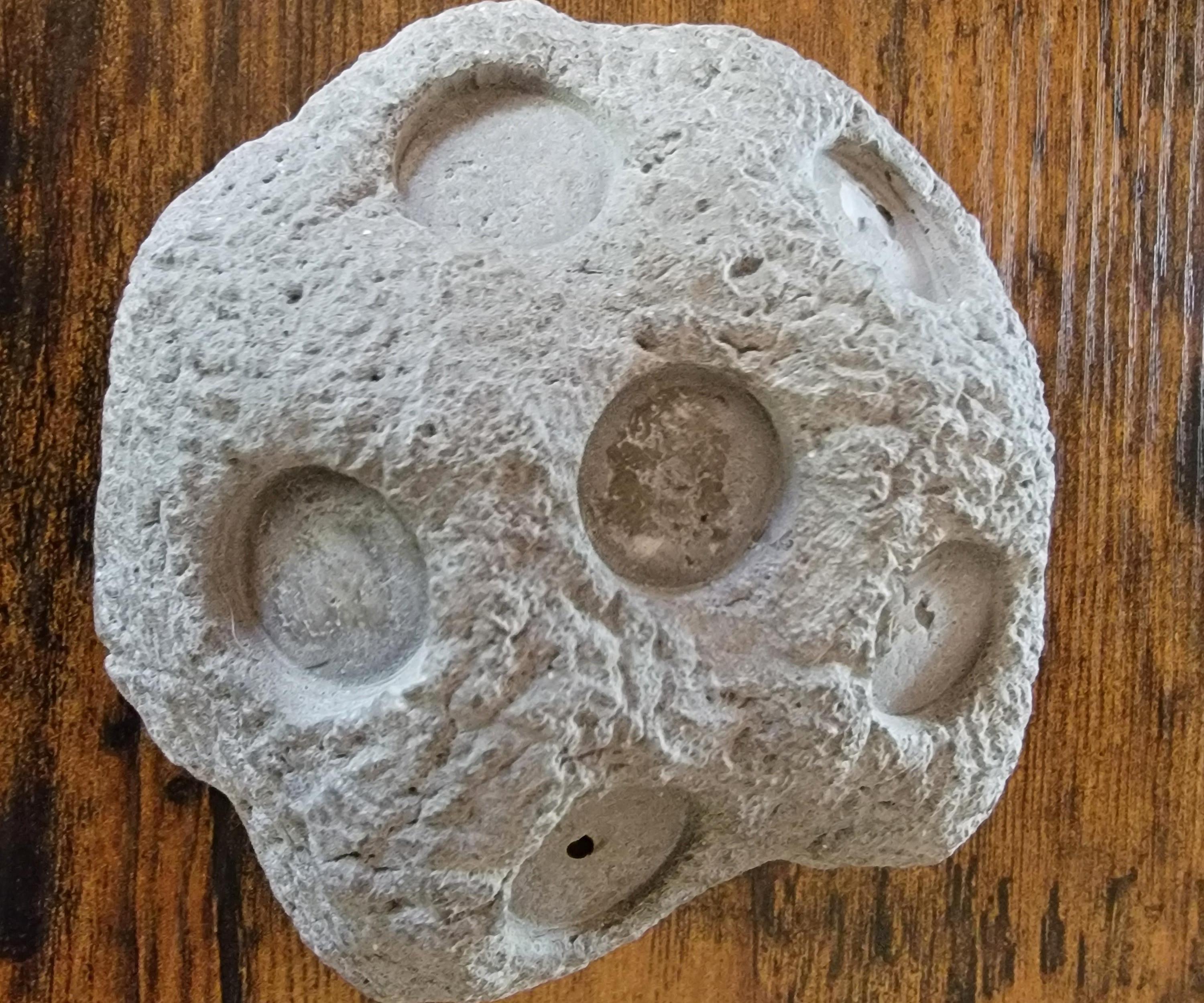 Magnetic Naturalistic Frag Rack