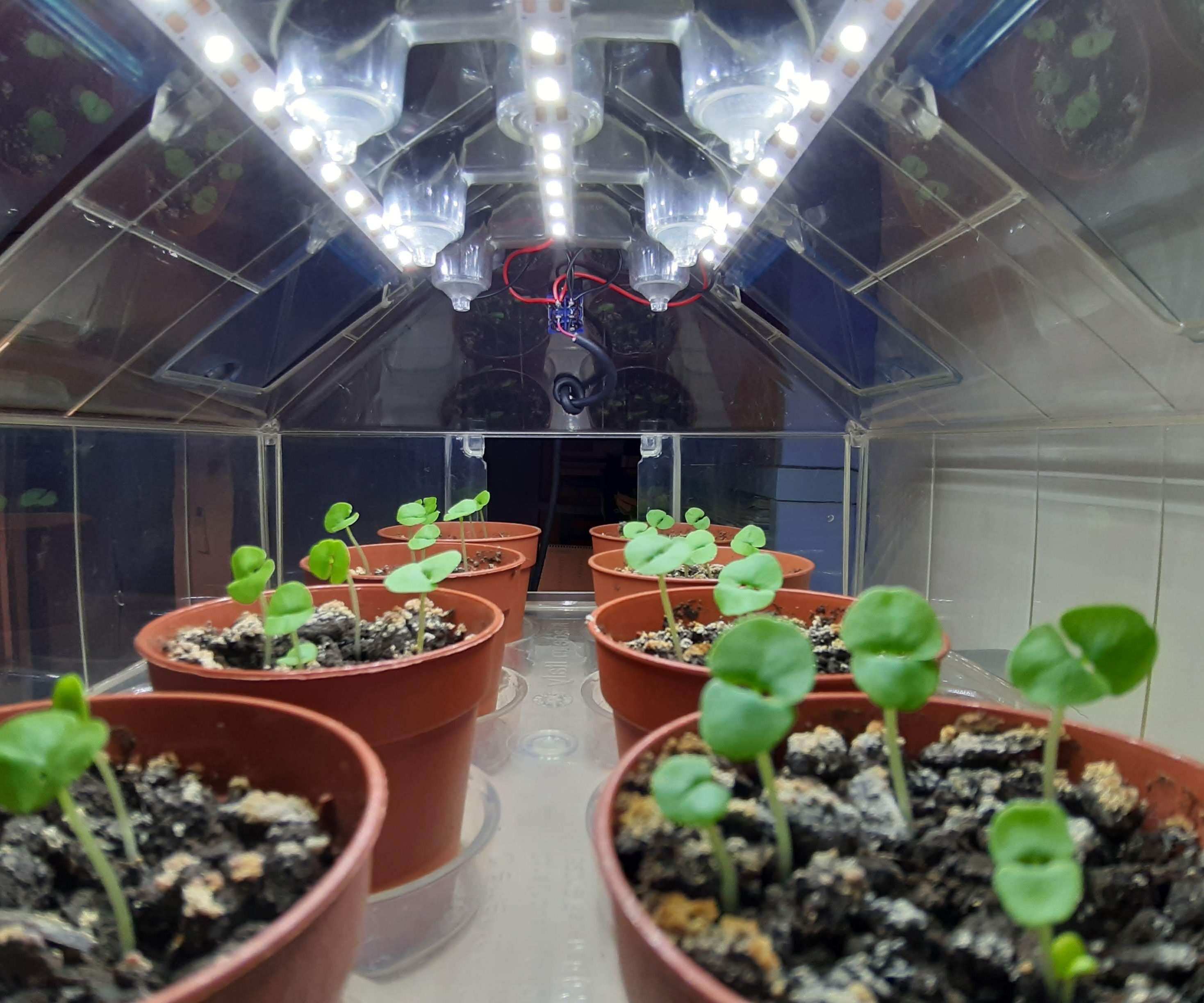 Light Up a Toy Greenhouse