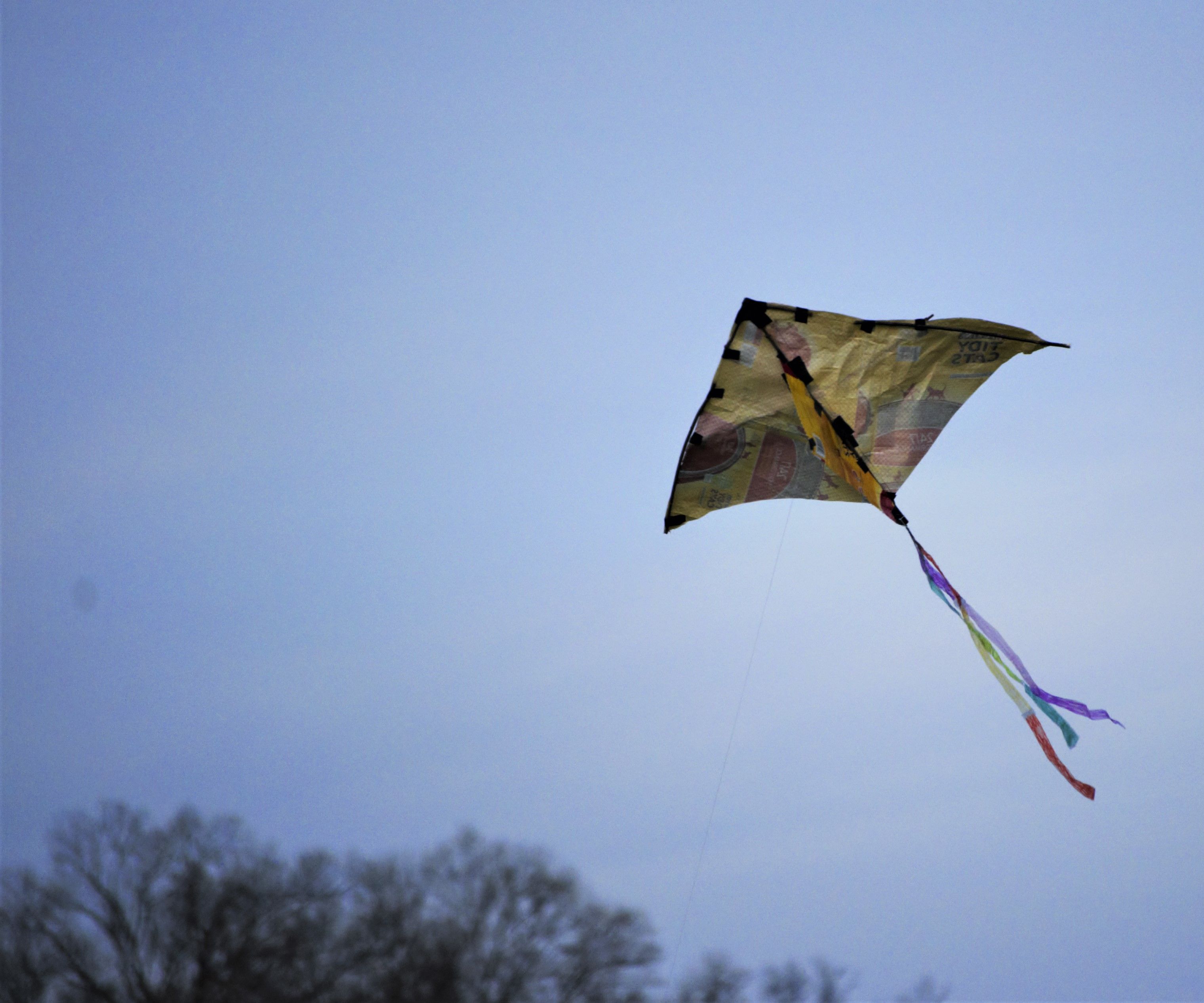 DIY Recycled Material Kite