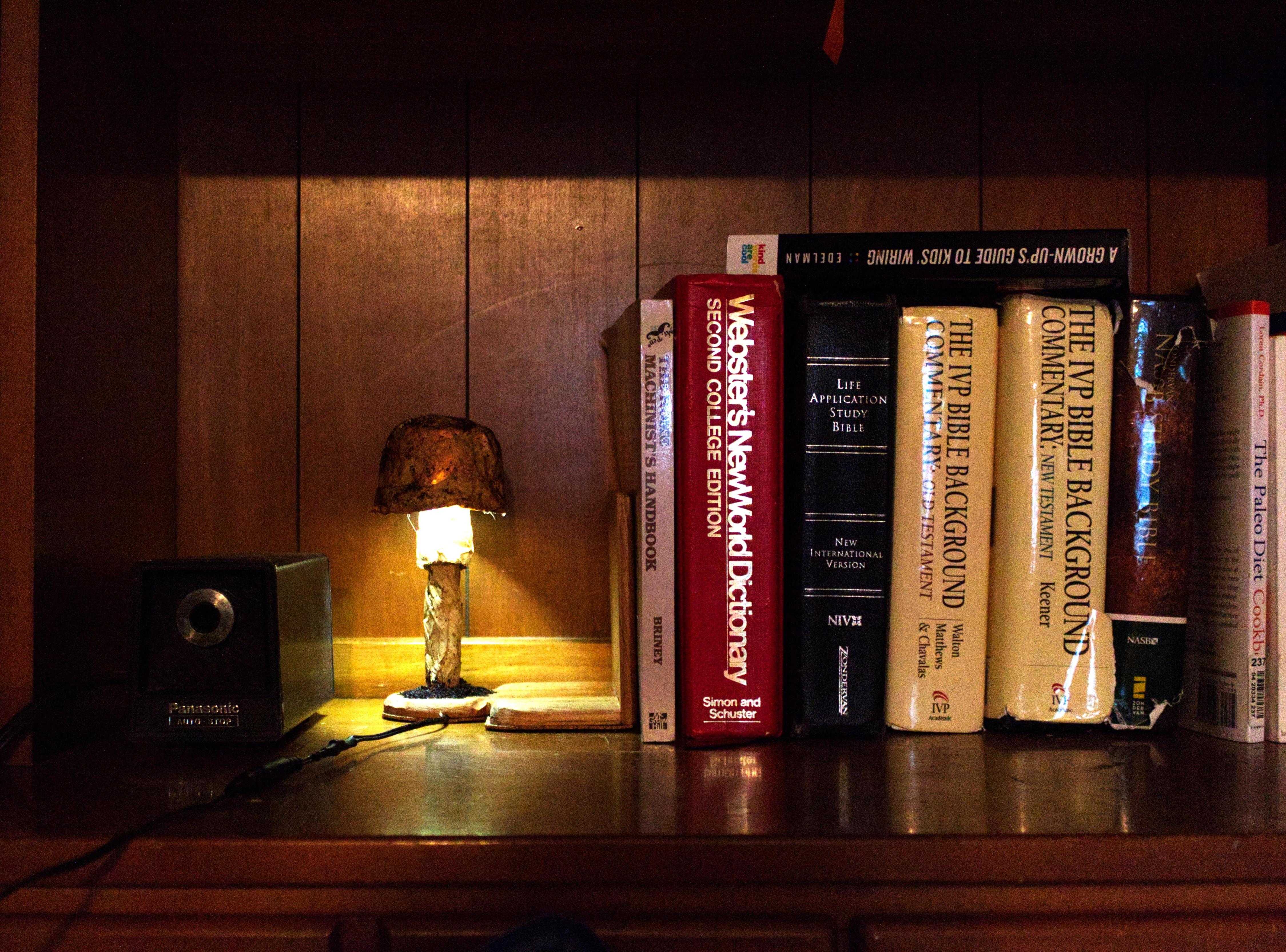Paper Mache Mushroom Bookend