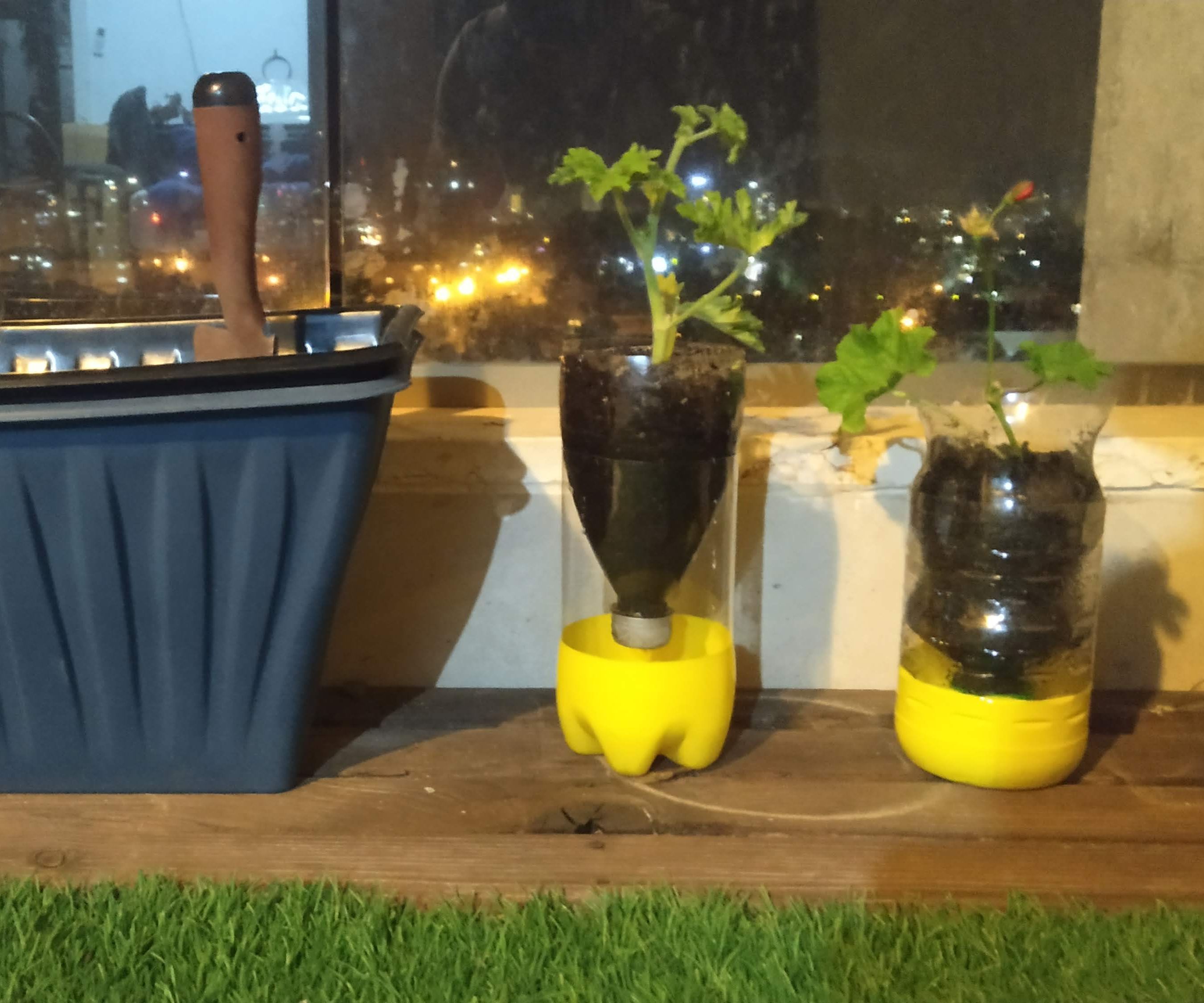 3 Minutes: Indoor Flowerpot Making