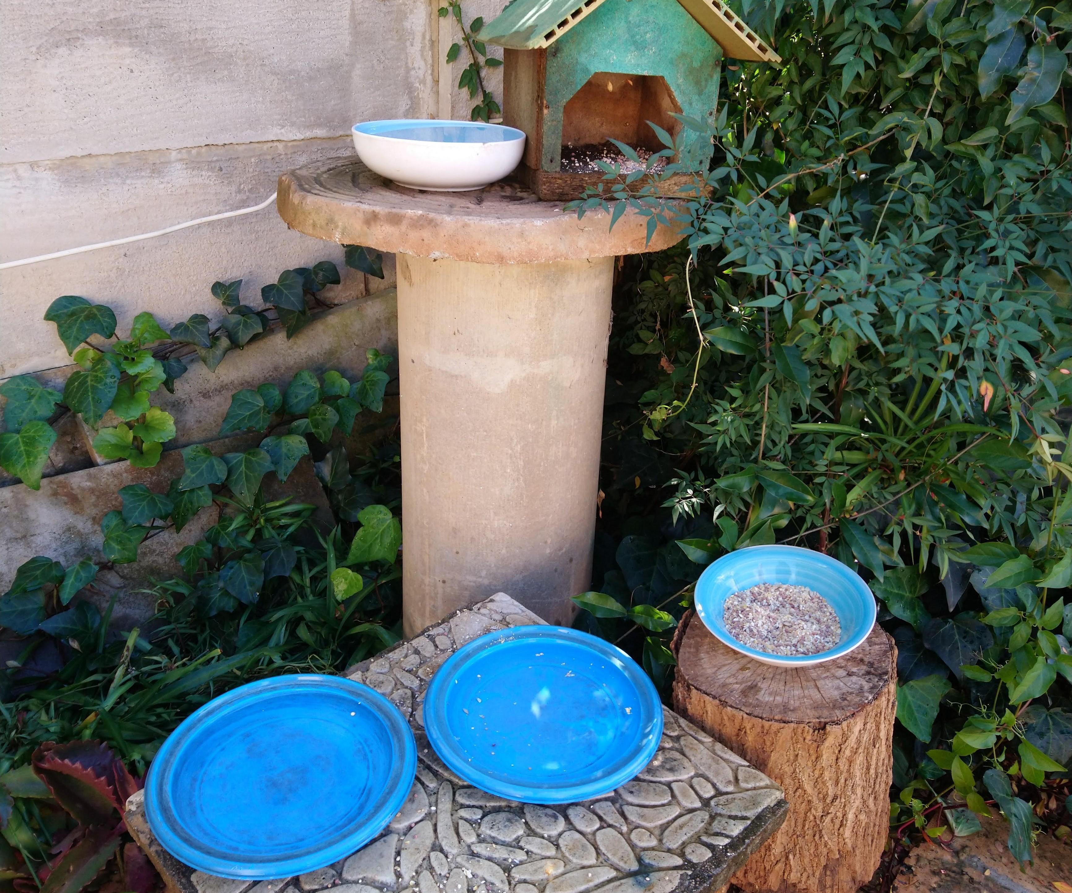 Bird Feed, Drink and Bath