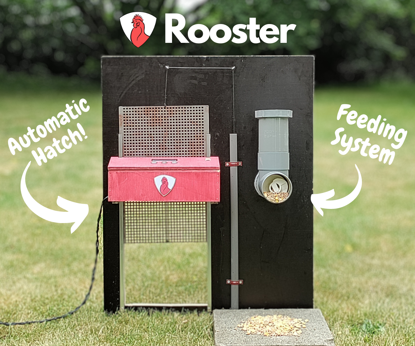 Rooster - Protecting and Feeding Your Chickens Automaticly
