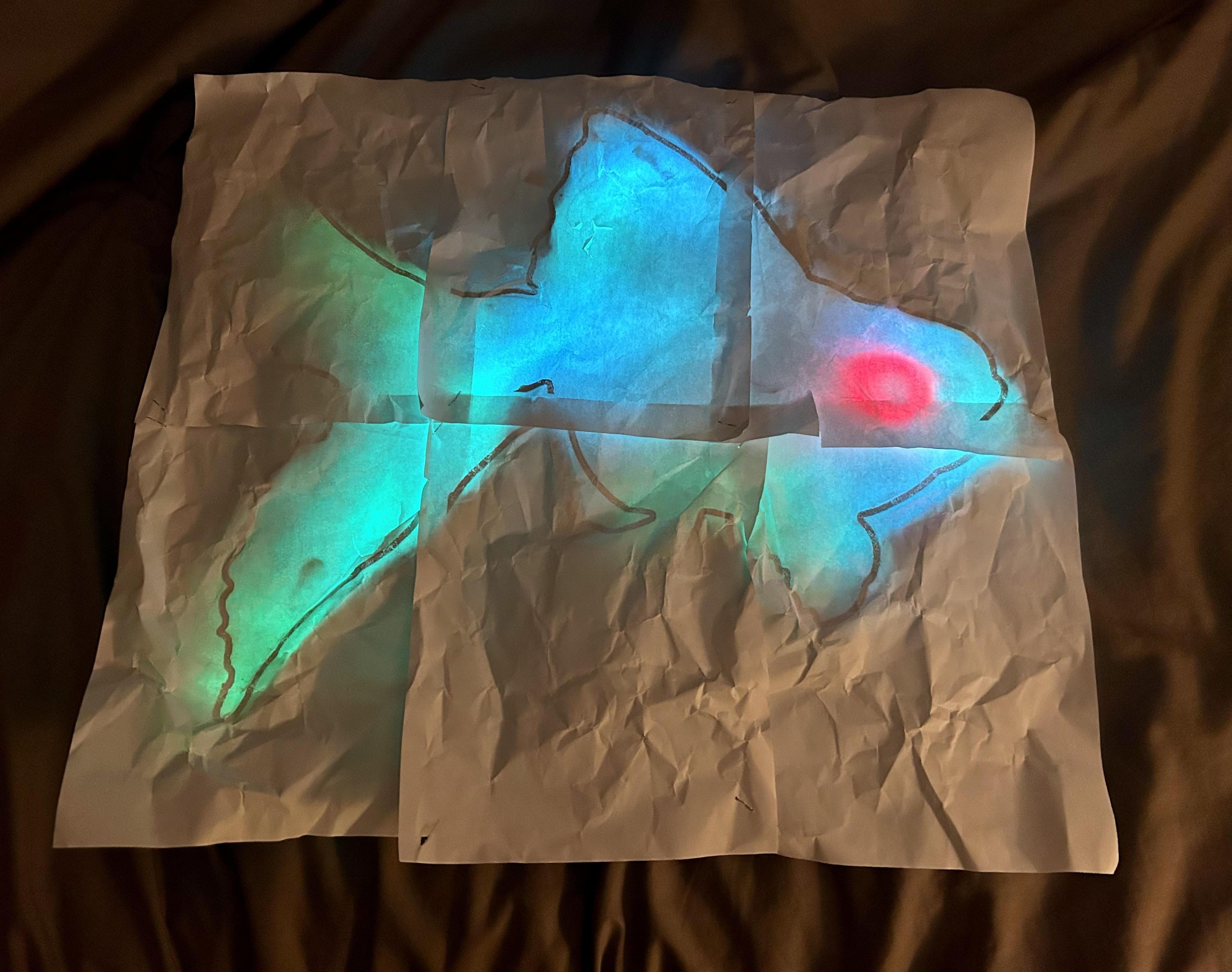 Neopixel Fish Silhouette Lamp