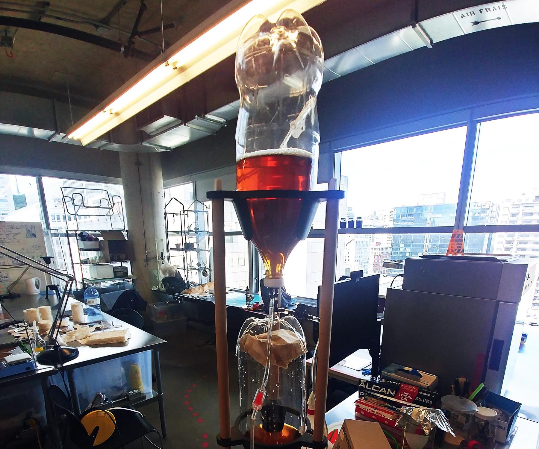 DIY Kombucha - Bacterial Cellulose Fermentor