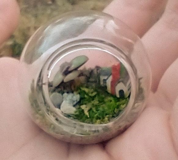Tiny Terrarium With a Live Baby Succulent