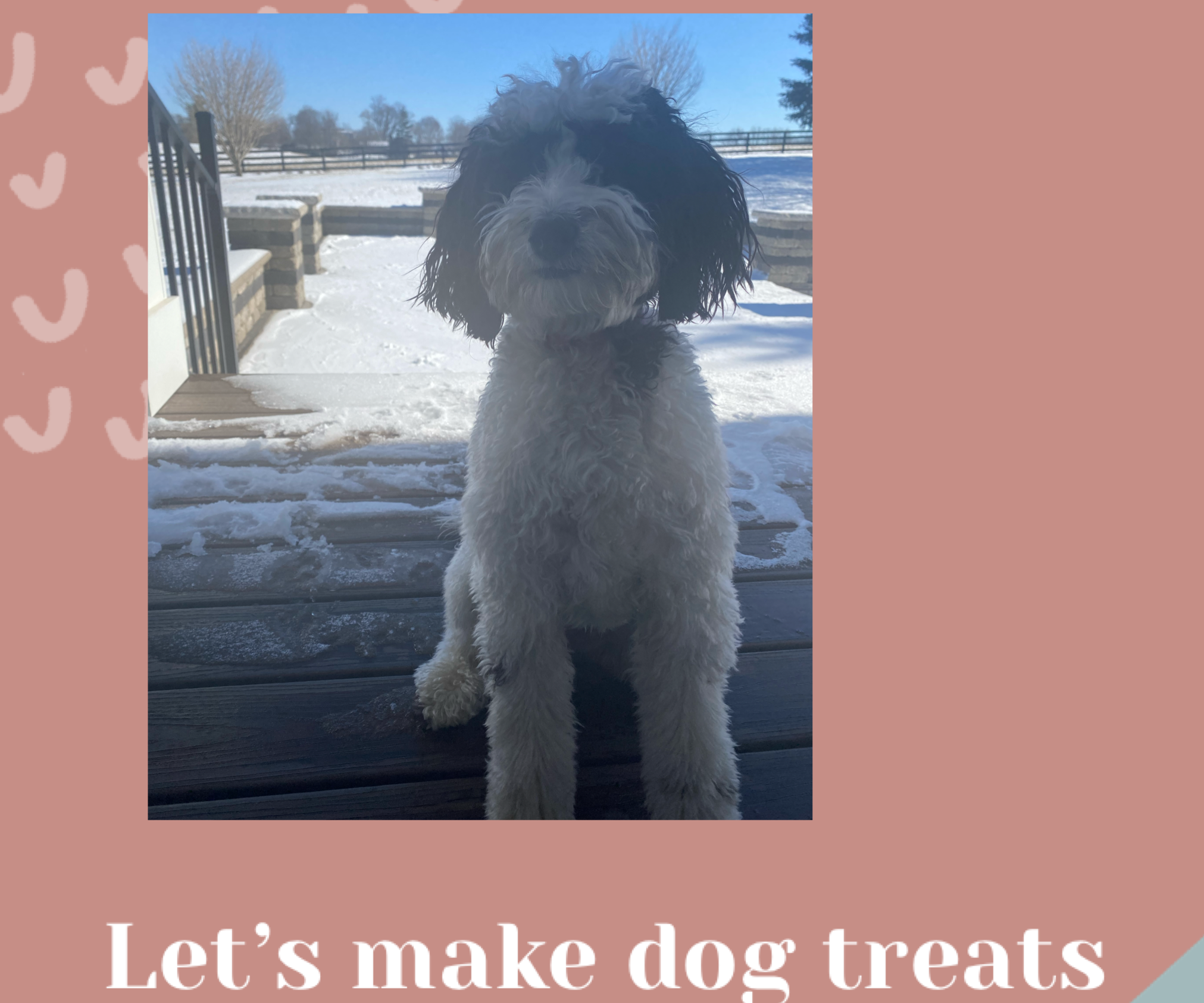 Make Your Own Dog Treats!