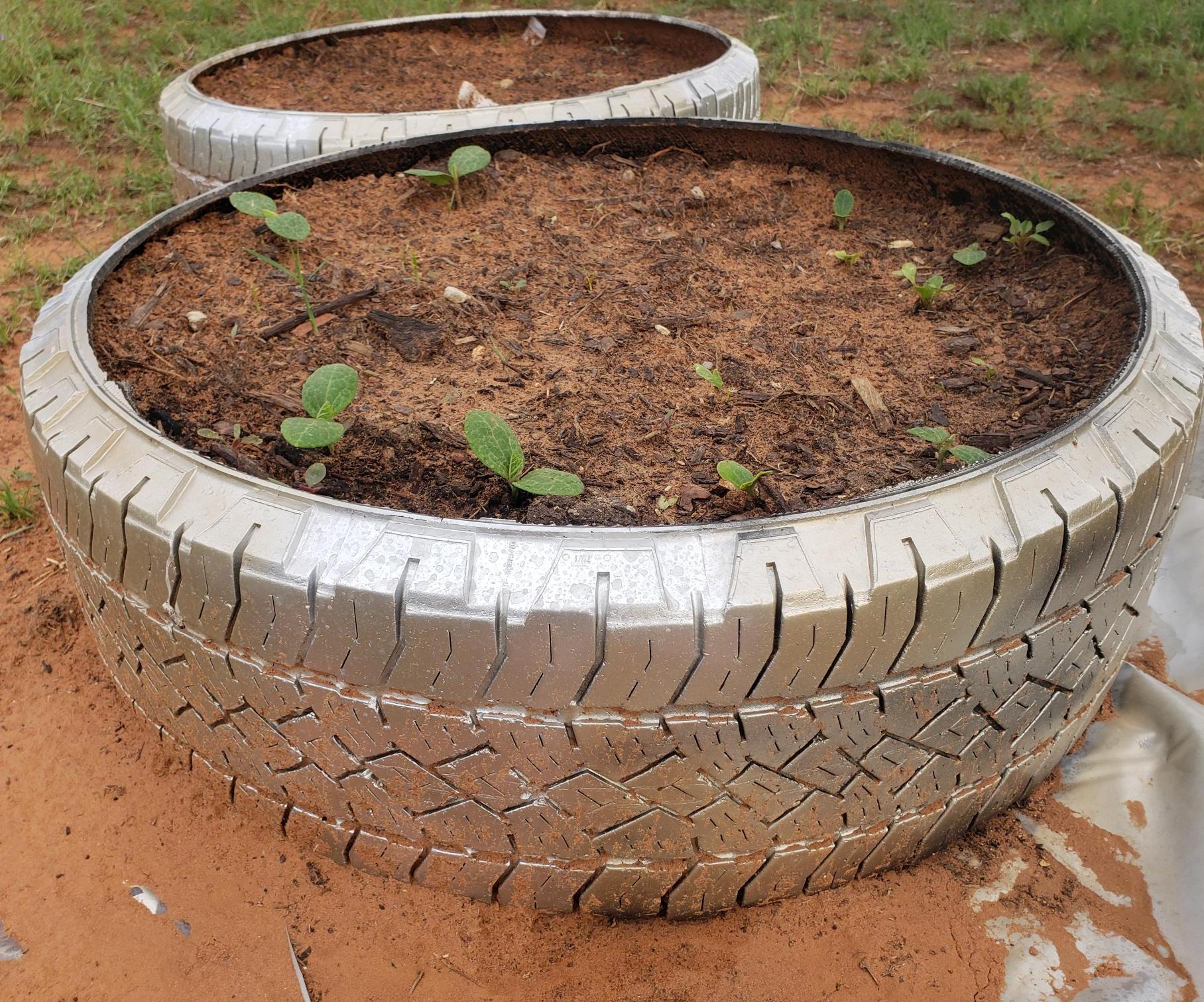 Vehicle Tire Garden
