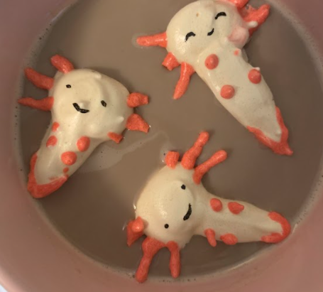 Hot Chocolate Floaties