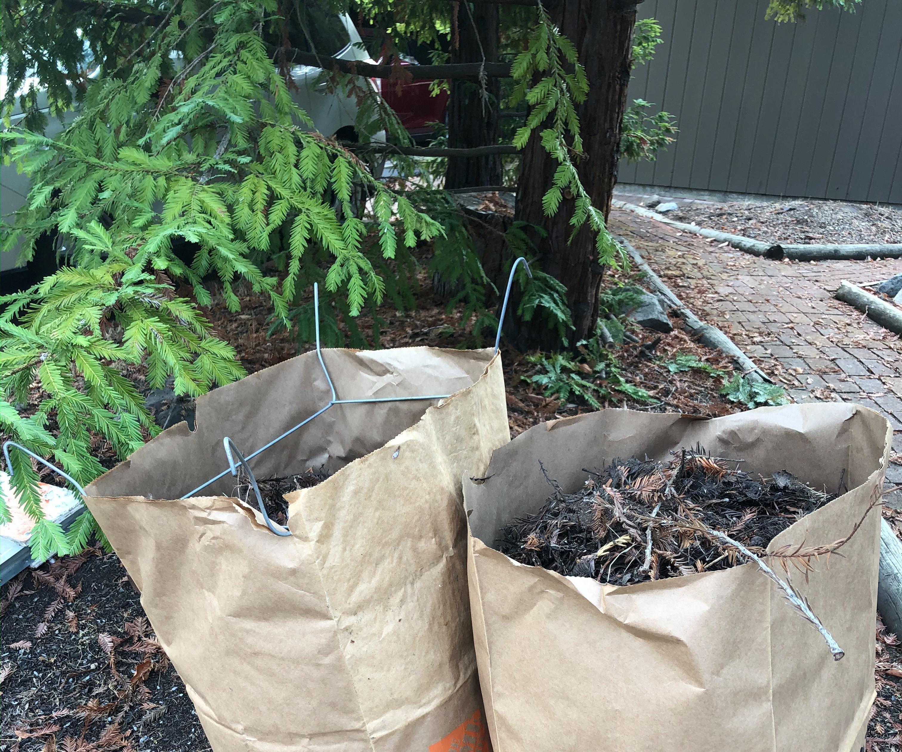 KEEP a LEAF BAG OPEN