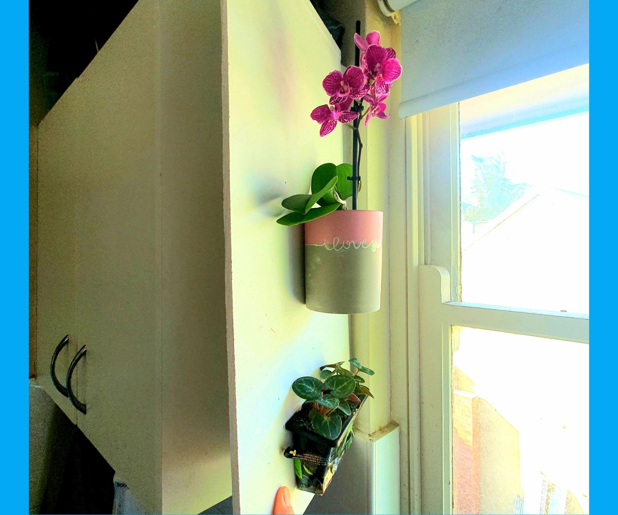  Brightening Up the Kitchen With Plants