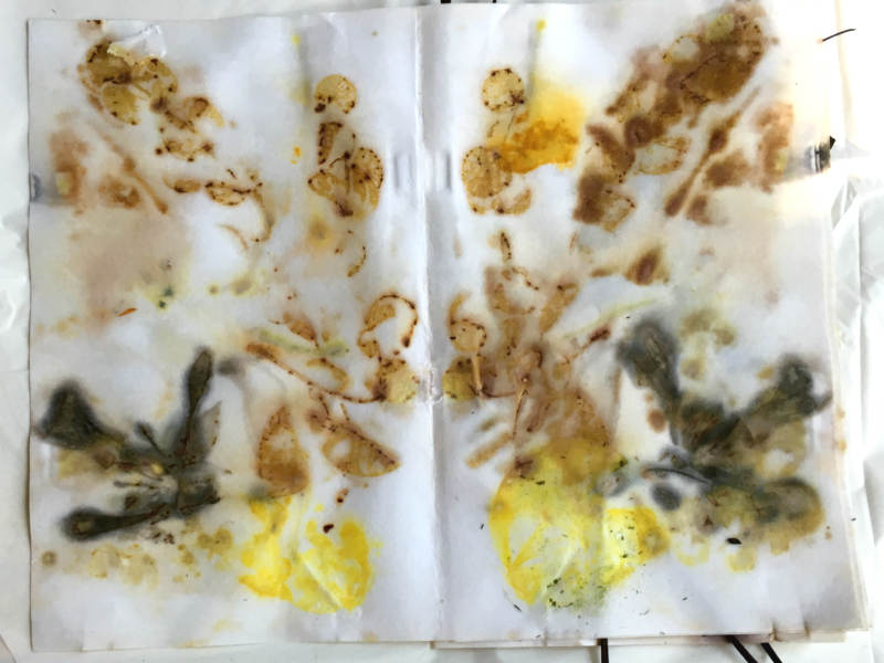 Eucalyptus leaves, Nasturtium Blooms and Leaves, Four O'Clock Blooms and Leaves dipped in Copper modifier.jpg