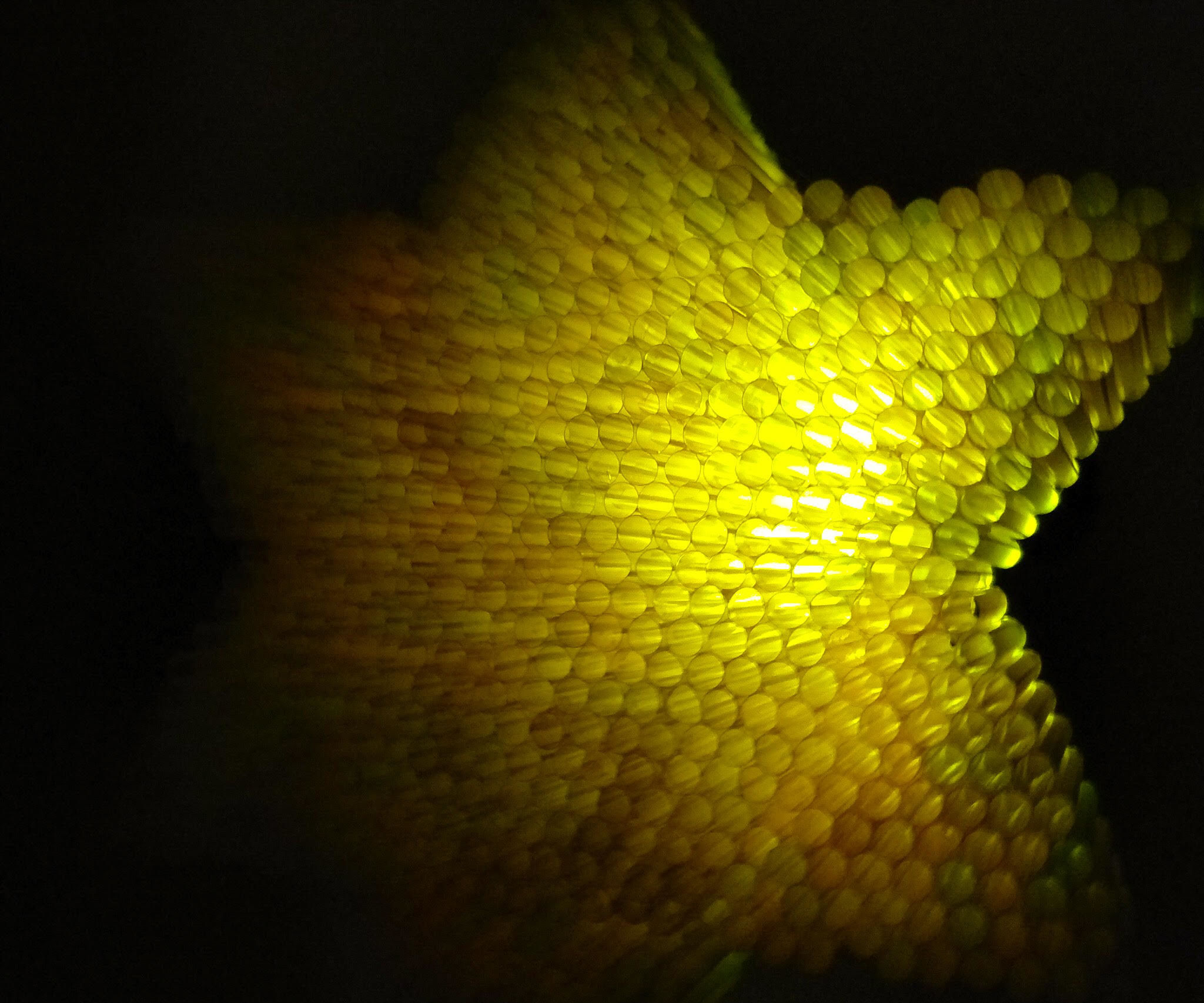 How to make 3D star out of drinking straw!