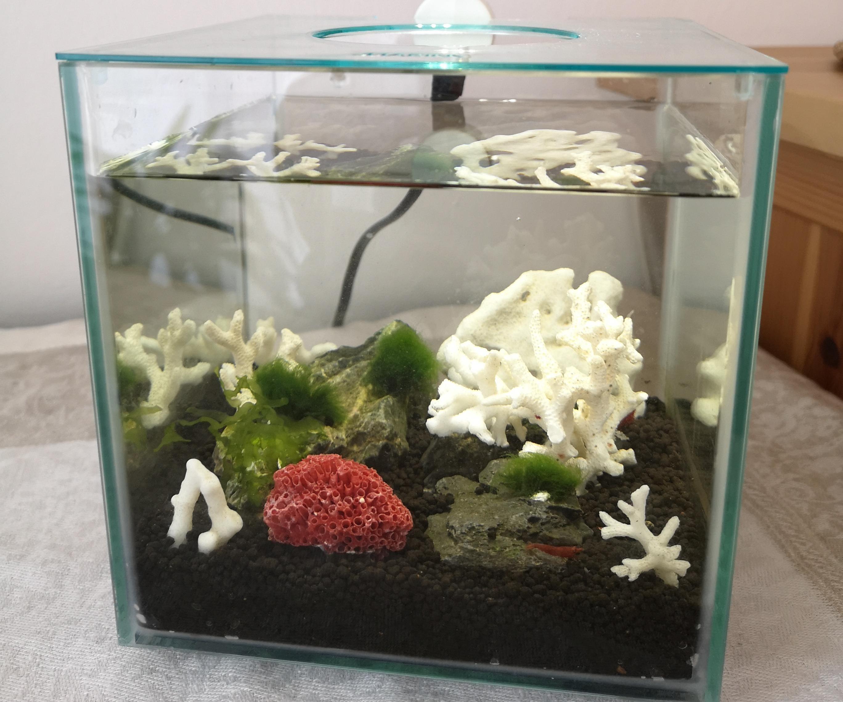 All in 1 Simple Filter and Water Heater for Your Fish Tank