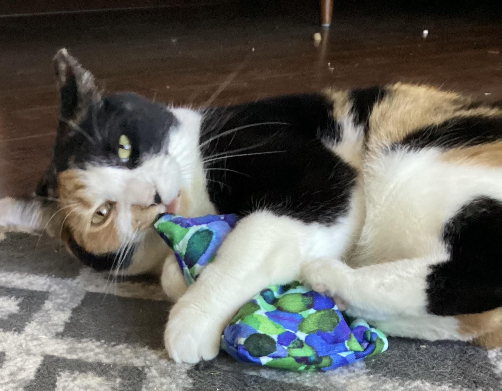 Cat Crinkle Pillow Sewing Project reusing plastic bags