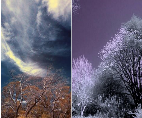 full spectrum/IR camera conversion, canon sx50