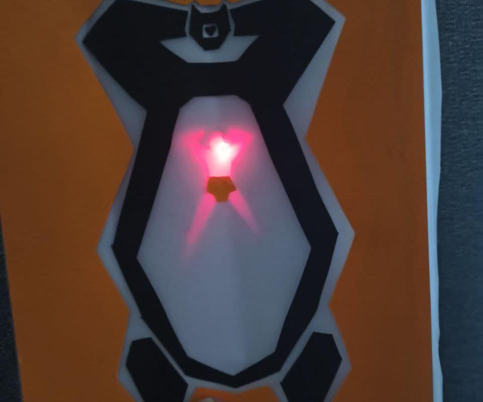 MAVA 456 Surprise Card