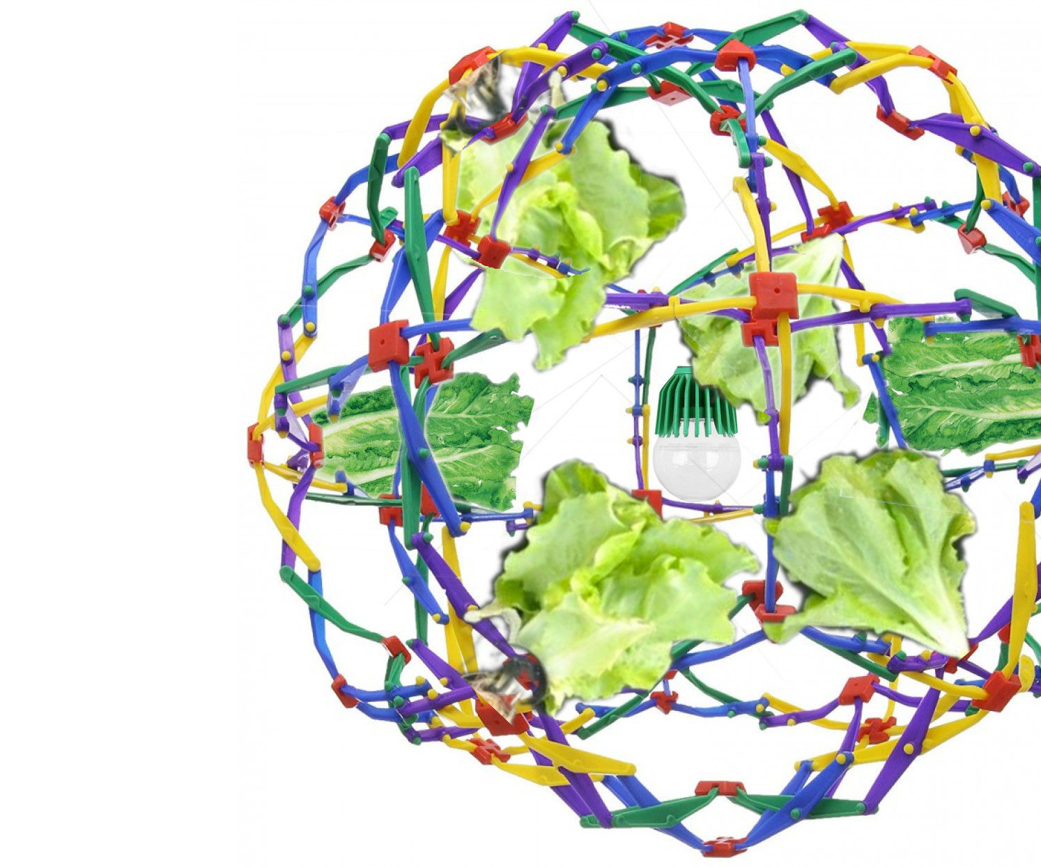 Hoberman Krop Dynamic Greenhouse  