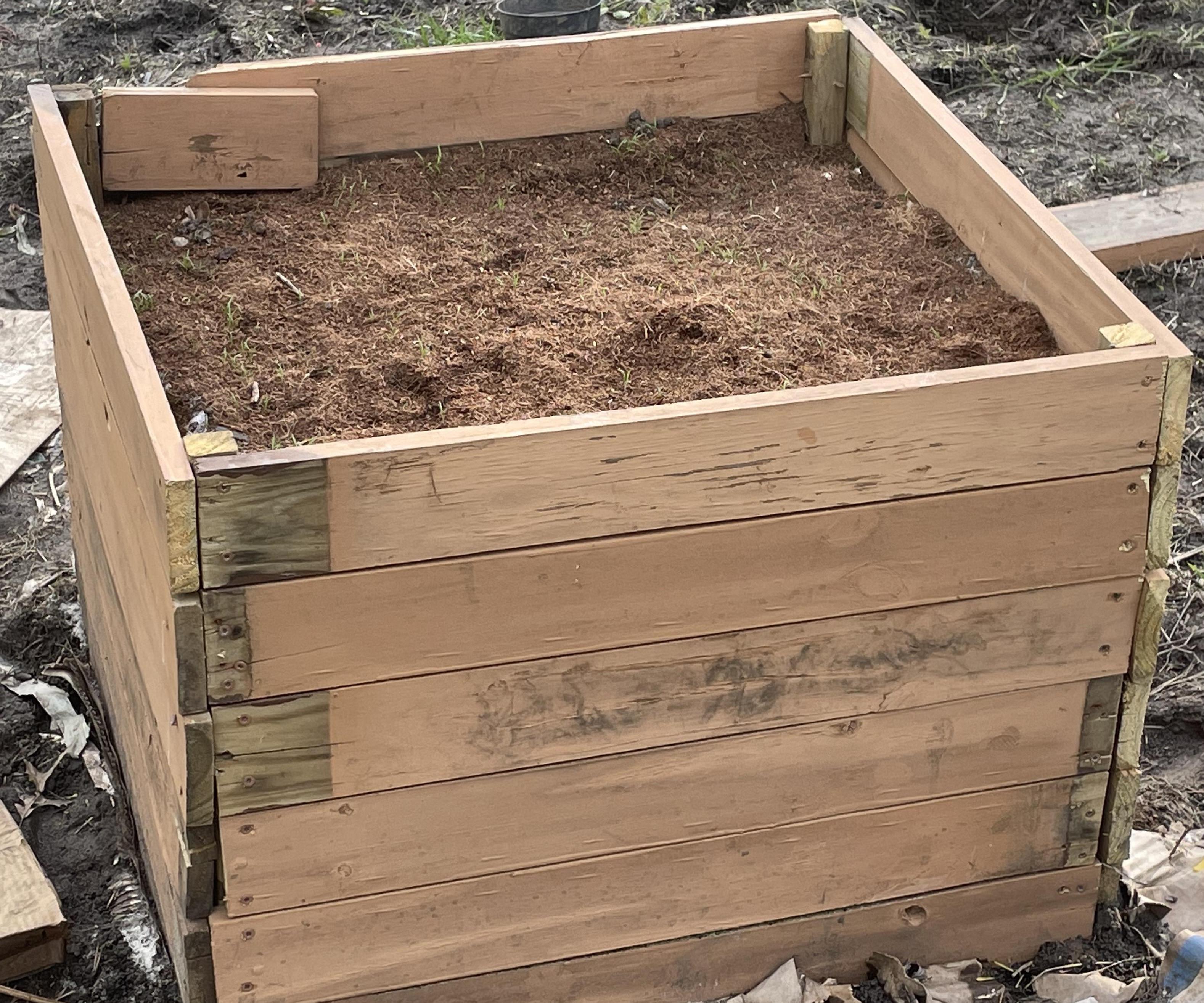 Great Big Garden Bed for Growing Giant Carrots