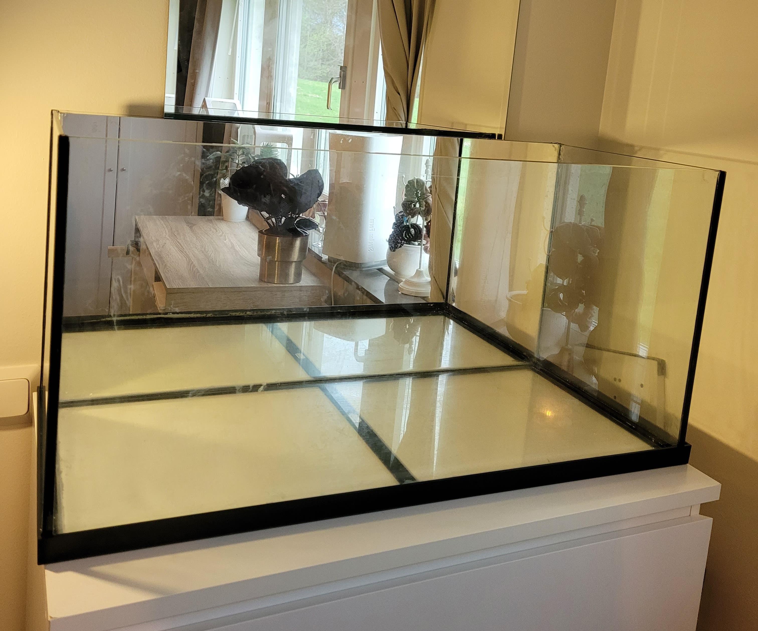 How To: DIY Mirror Background in Aquarium/ Terrarium/ Paludarium 