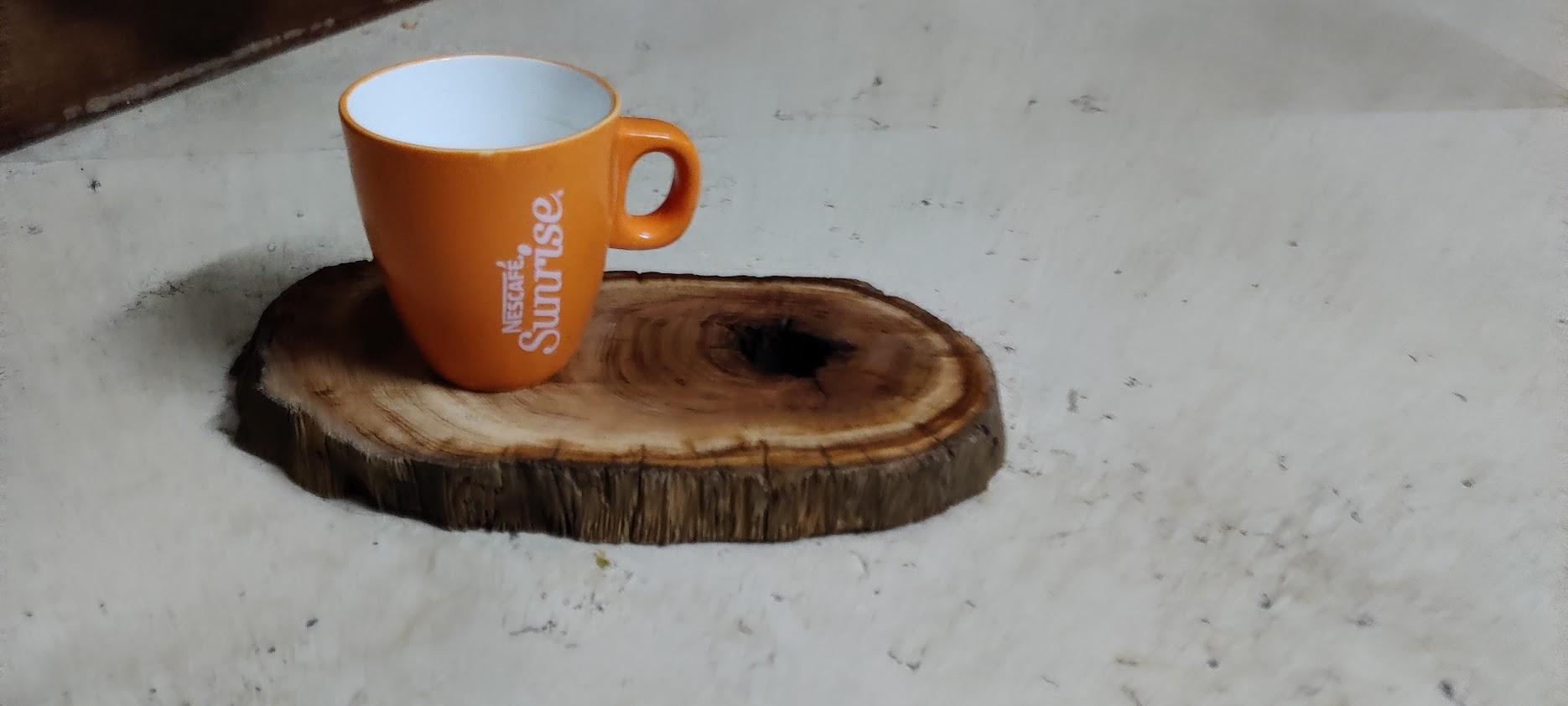 Live Edge Coaster From Ancient Himalayan Yew Log