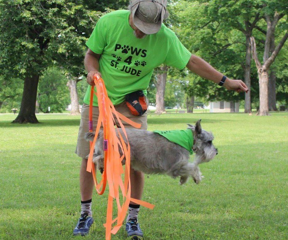 Ring of Fire (Dog Jumps Through Hoop)