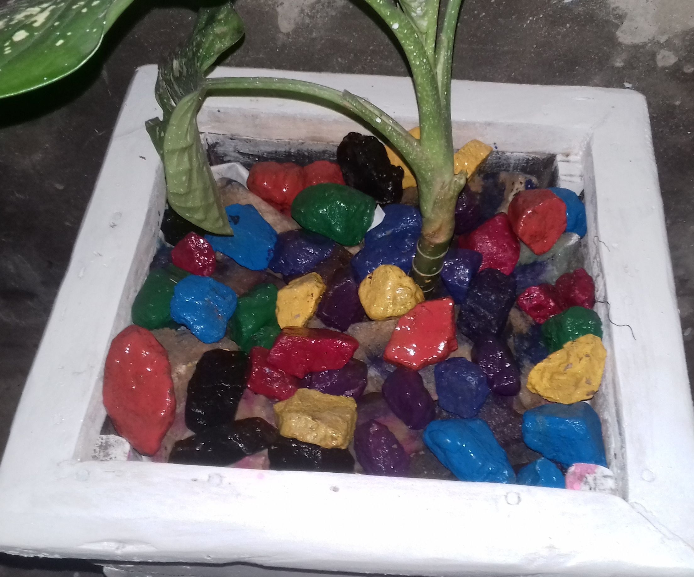 Colourful Flower Vase Stones