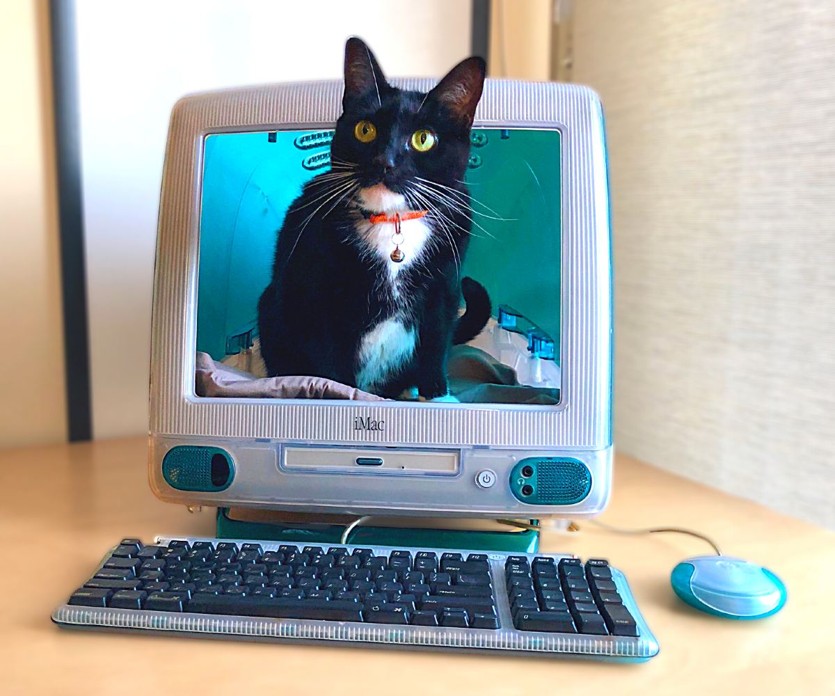 iMac Cat Bed
