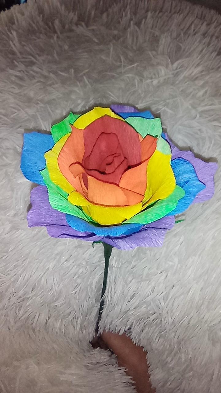 Rainbow Rose