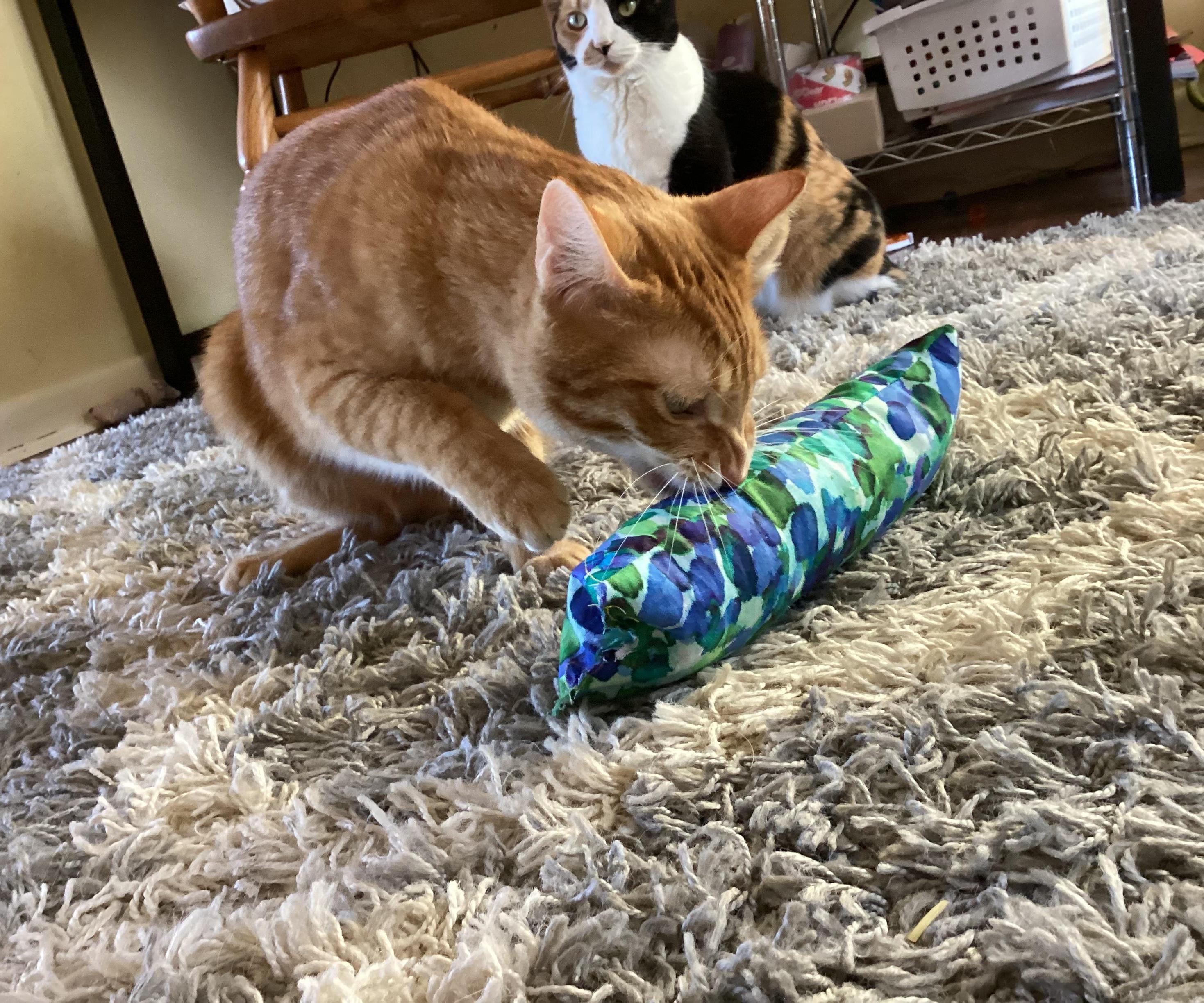 Easy Cat Catnip Kick Stick