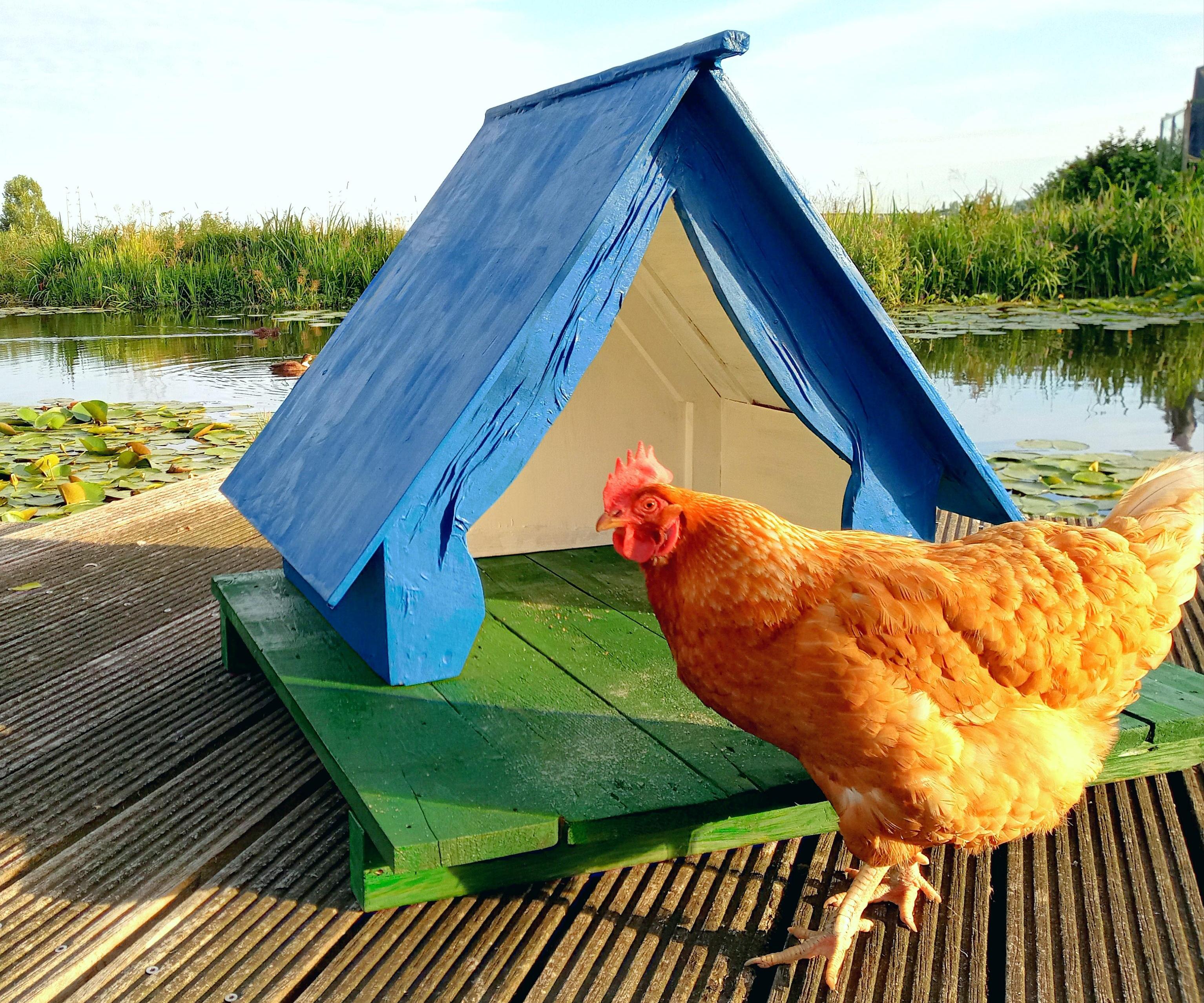 Summer Holidays for Chicken (using Poor Man's Fibreglass)