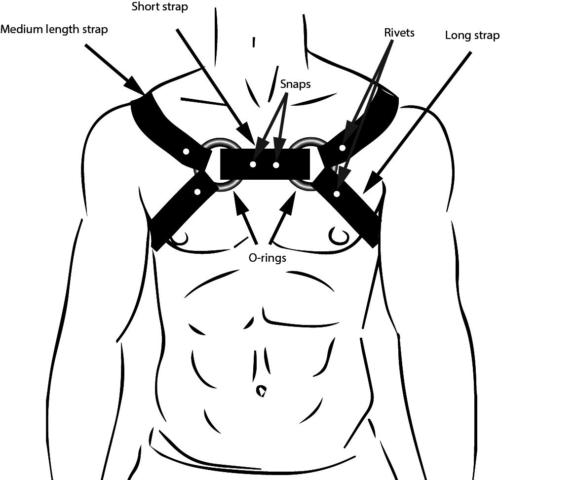 Men's Leather Bulldog Harness