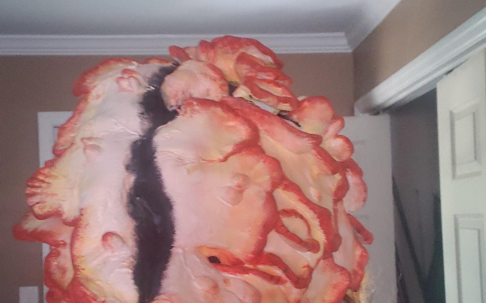 The Last of Us Game Clicker Mask