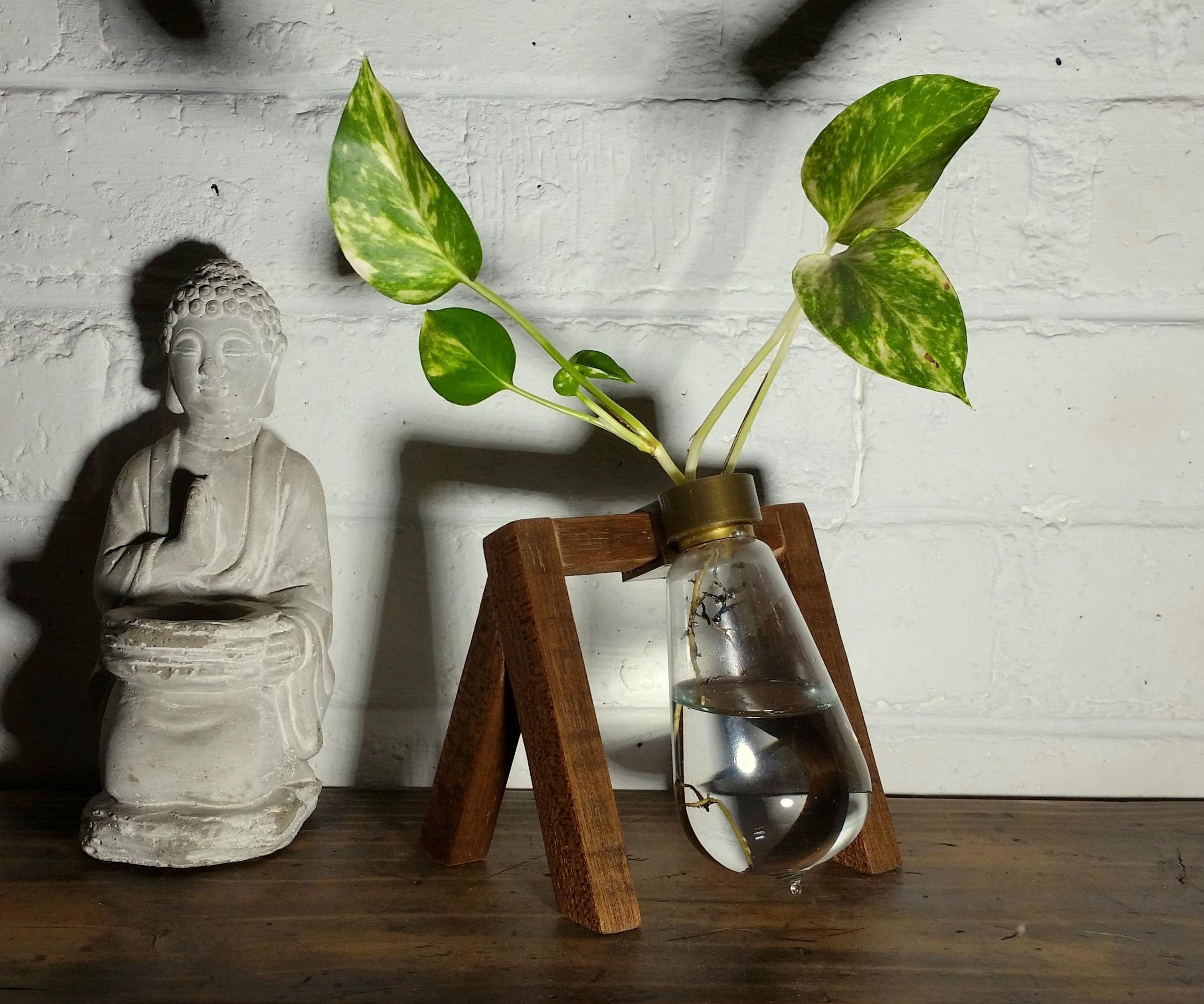 Repurpose Old/Blown Light Bulbs