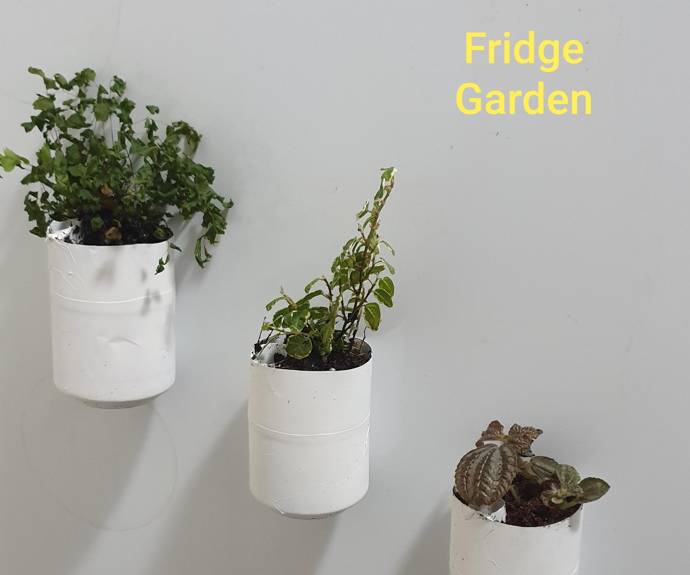 Self Watering Fridge Garden