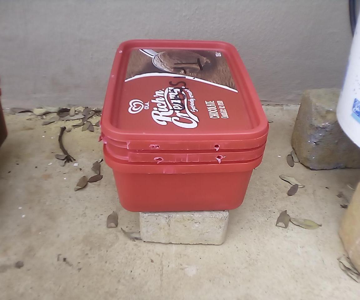 How to Make a Mini Wormery Out of Ice Cream Containers