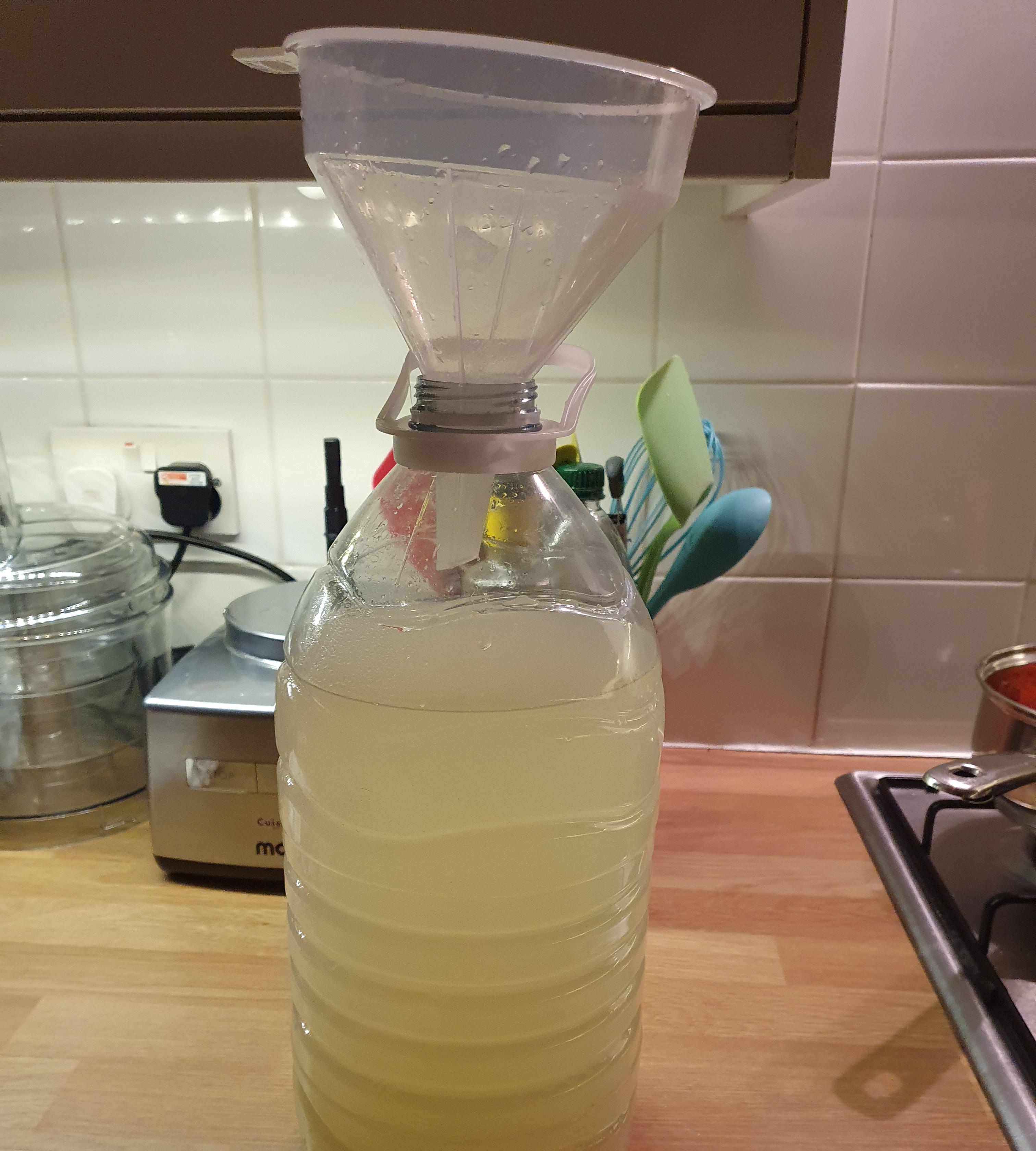 Lacto Fermented Probiotic Ginger Beer