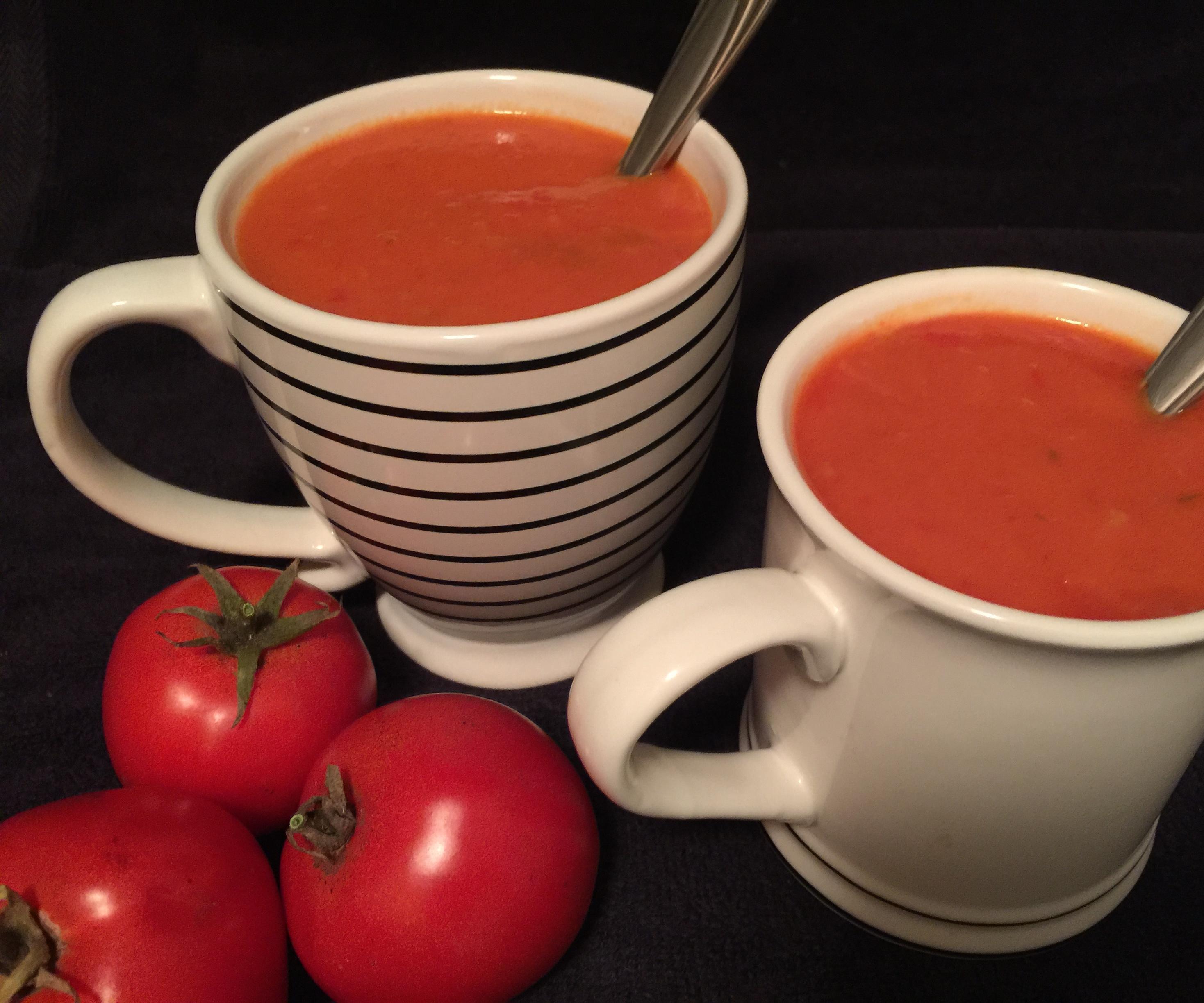 Homemade Garden Fresh Tomato Soup (with Vegetarian/Vegan Options)