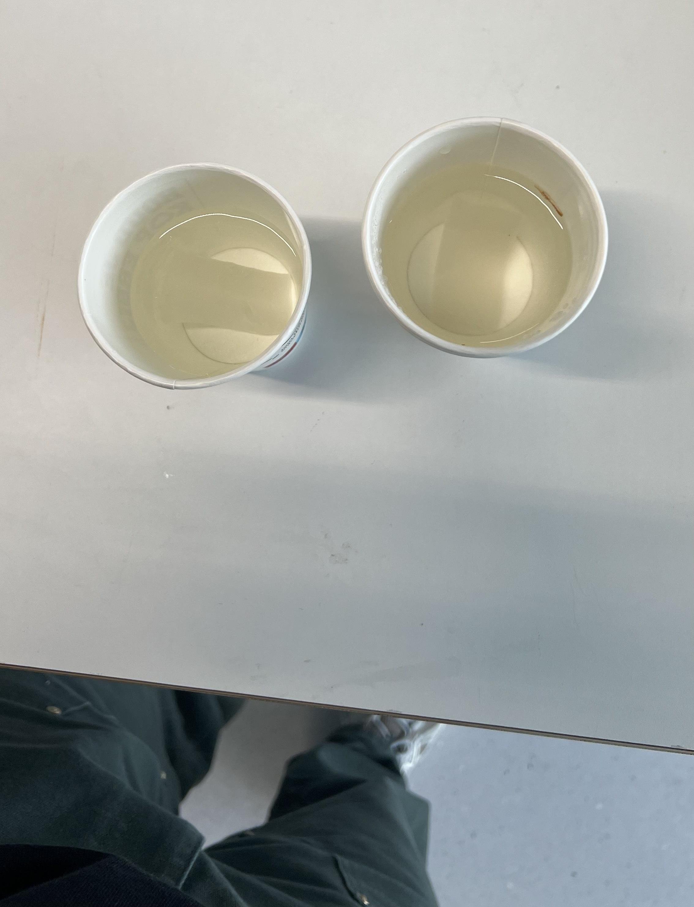 Test Plan for Soaking Bio Rubber in Water