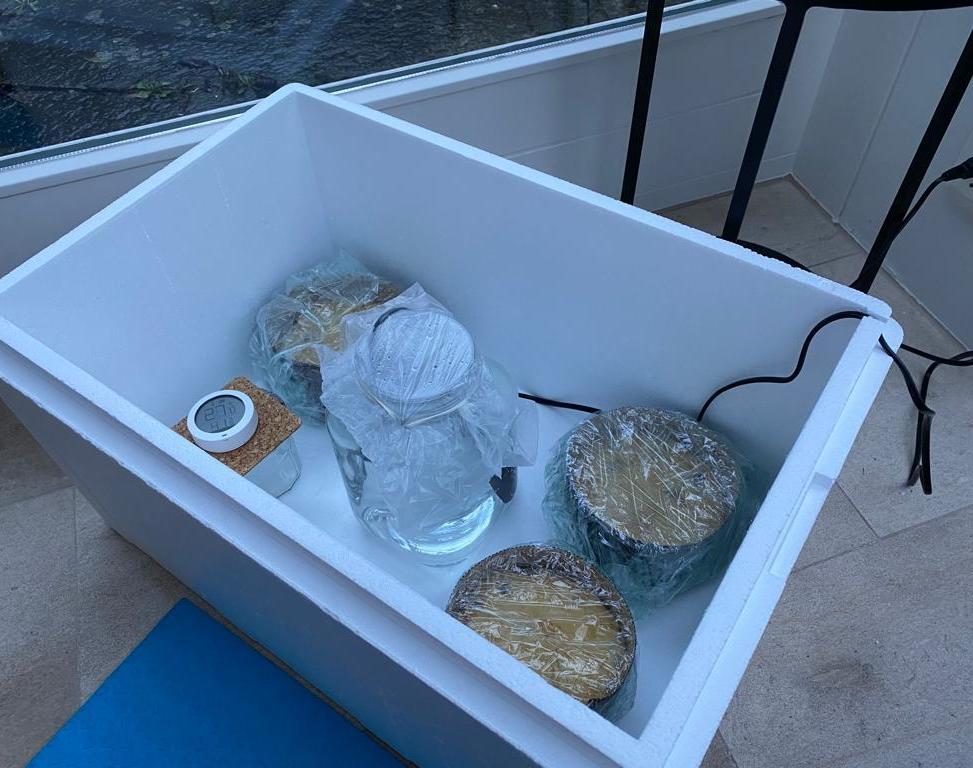 Dough Rising Box - DIY for Cheap